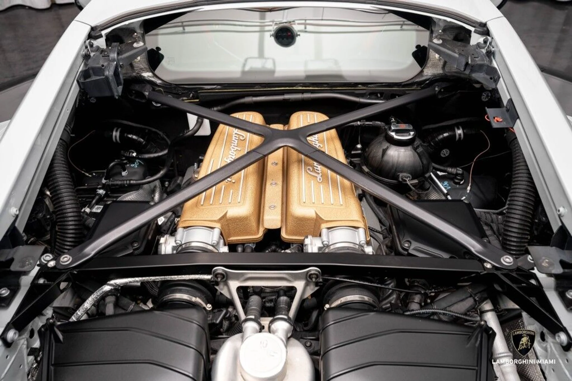 mph024_3604823687_921a1a6a7f2c2c640f54c387315f4010_742d17d72a