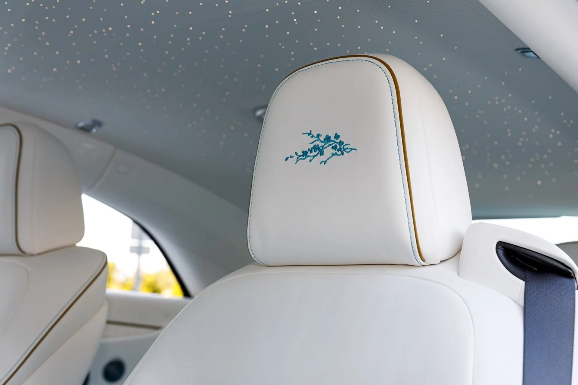 mph024_3757397900_7173095b8bed3d4d681ef323a41f38e7x_942403b877