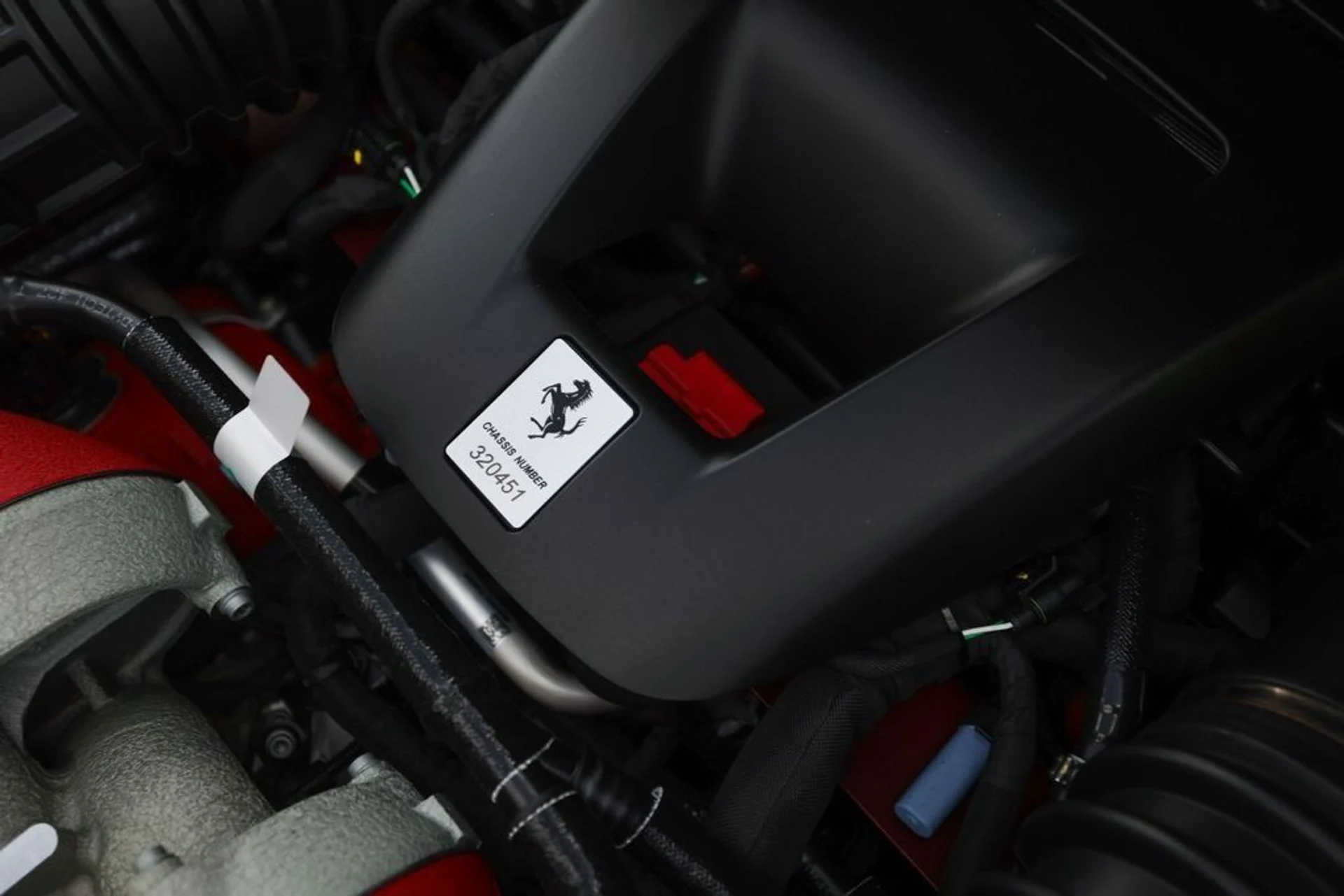 mph024_3777954646_1b007d81e858a2803e8422d978a34192_ead22a46cb