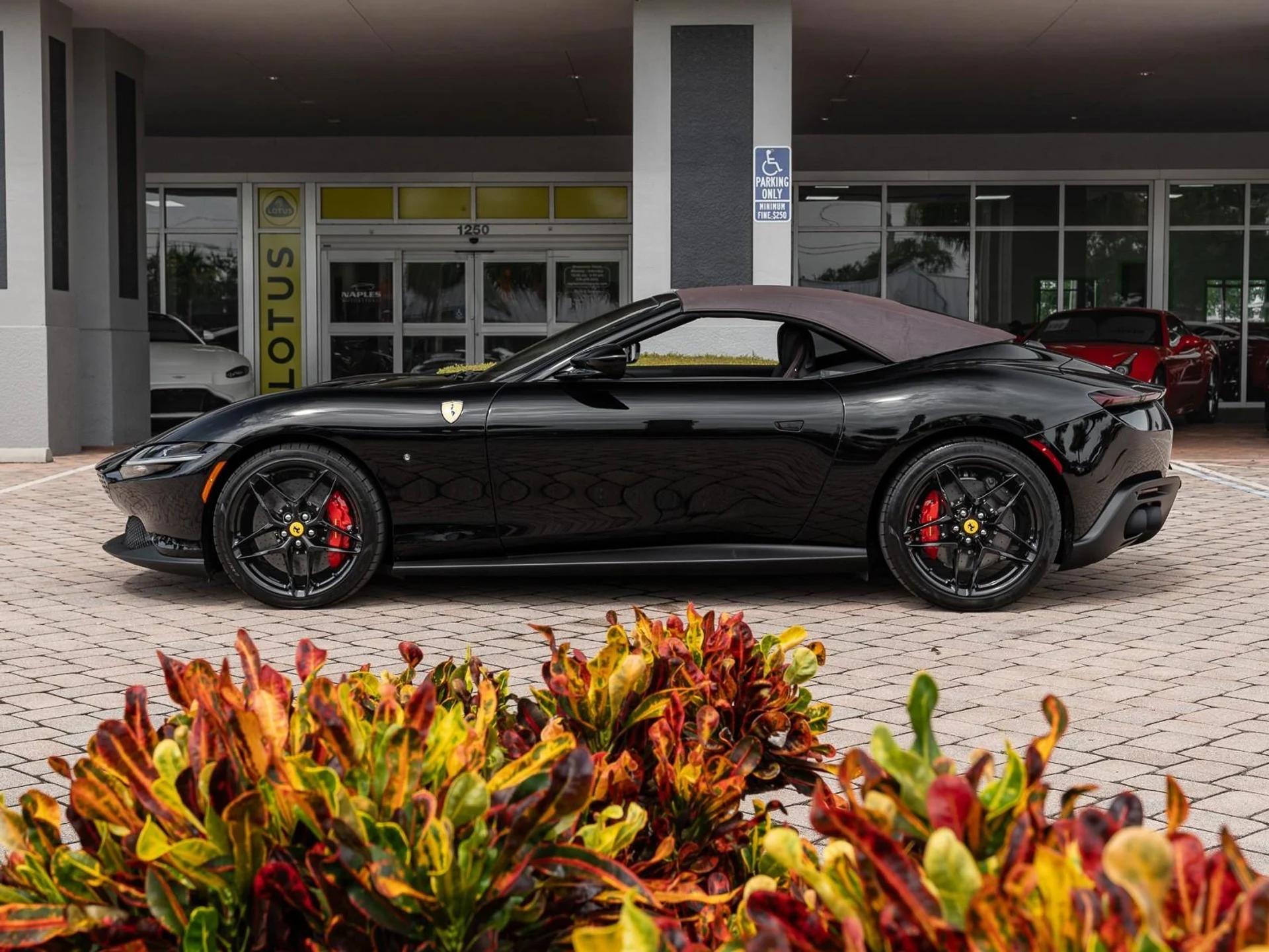 mph024_3935589220_Used_2025_Ferrari_Roma_Spider_1759774225_0c19fb3264