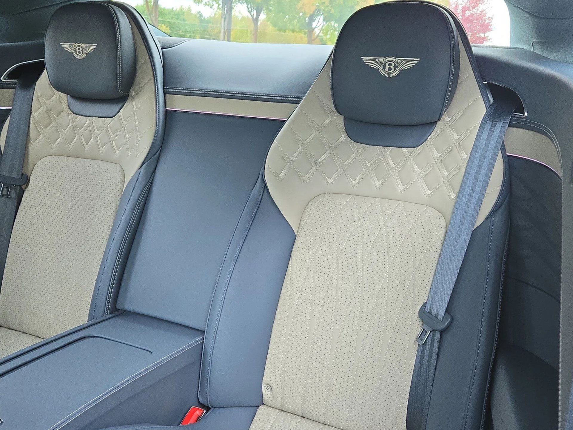 mph024_3963514475_d97ff8cf793dccf566d21a3b40f6926ex_a2d80b0b5e