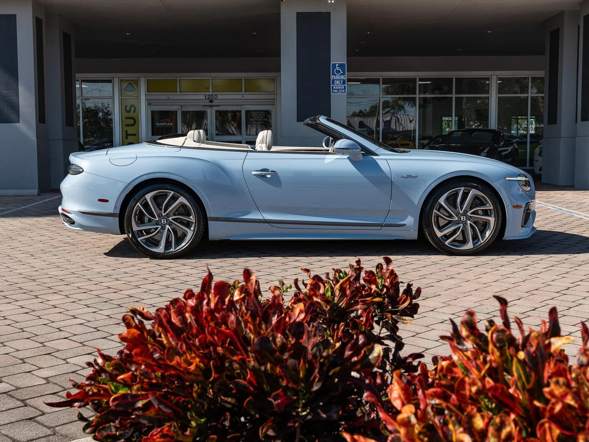 mph024_3974748177_Used_2025_Bentley_Continental_GT_Speed_1766181979_d005e7d591