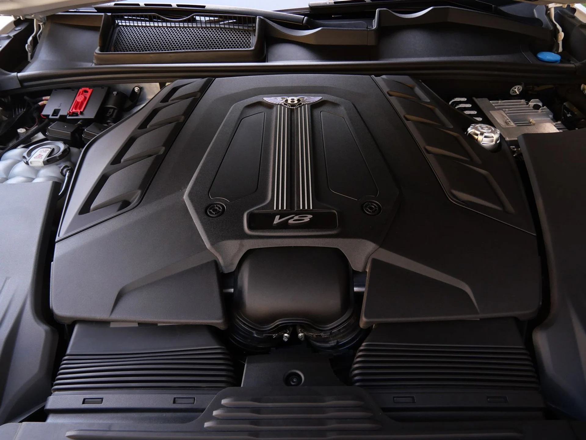 mph024_409133499_6c114a47cf5b7039ef91761320722878x_d0cdaf12cf