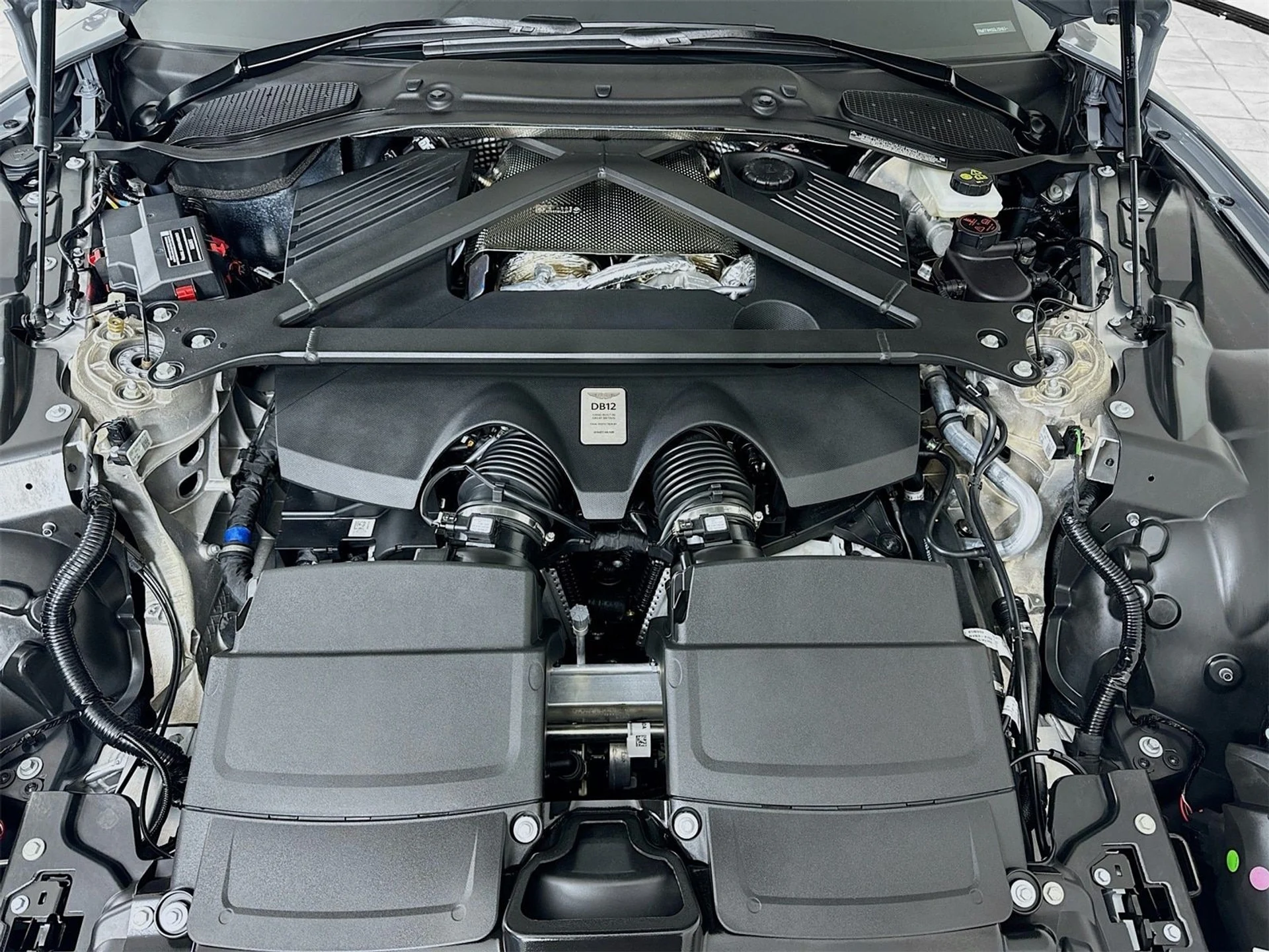 mph024_4105673307_a7170e17817a9970d62e5d7ca5e49b0fx_8202828831