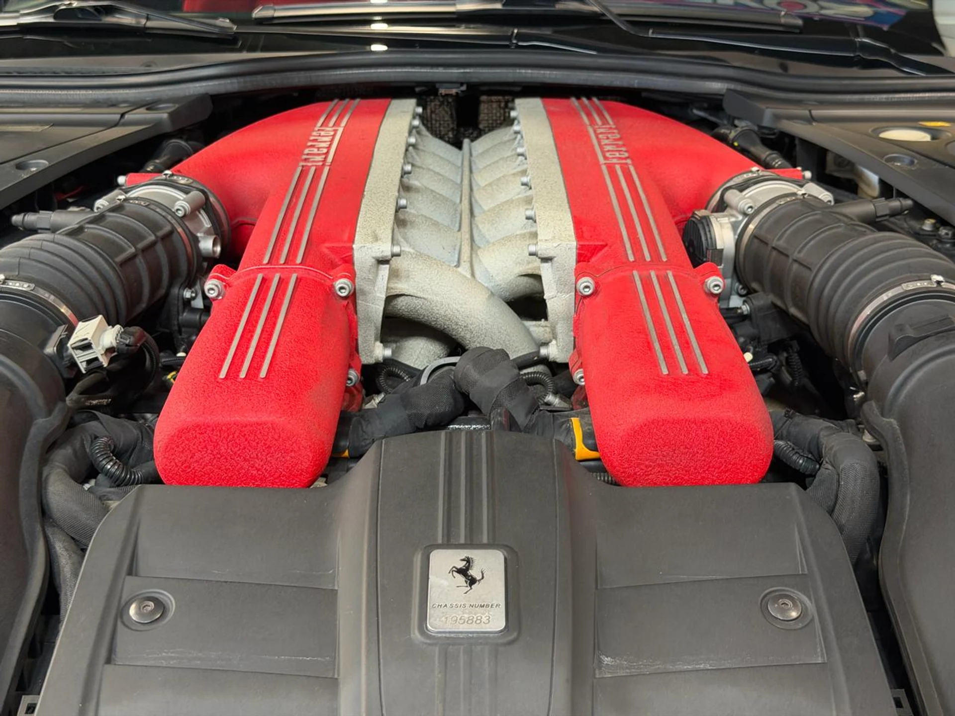 mph024_4170512127_639119405780988022_aab29c1a54