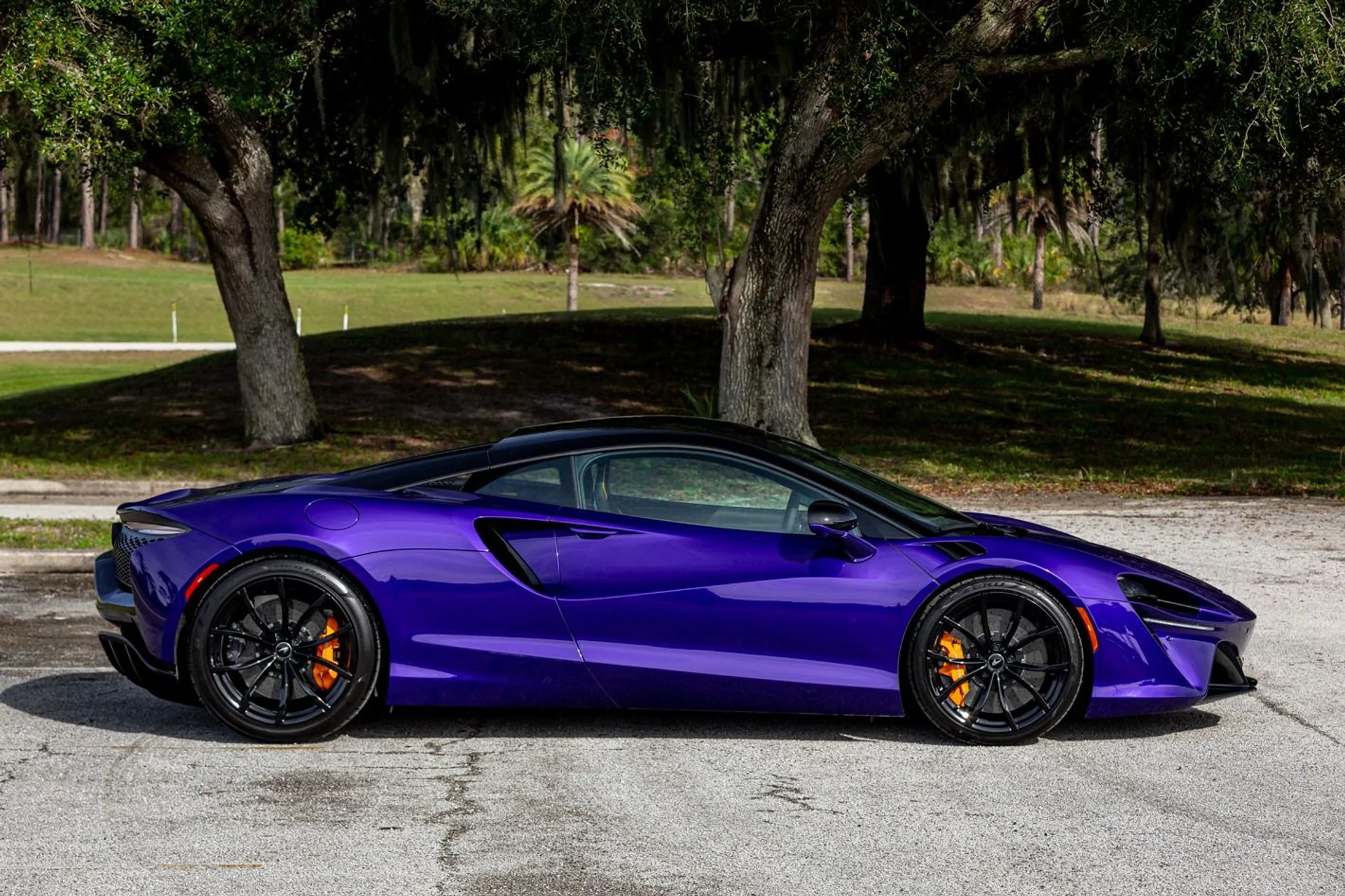 mph024_4217289607_362_p25_l_5b77768a62