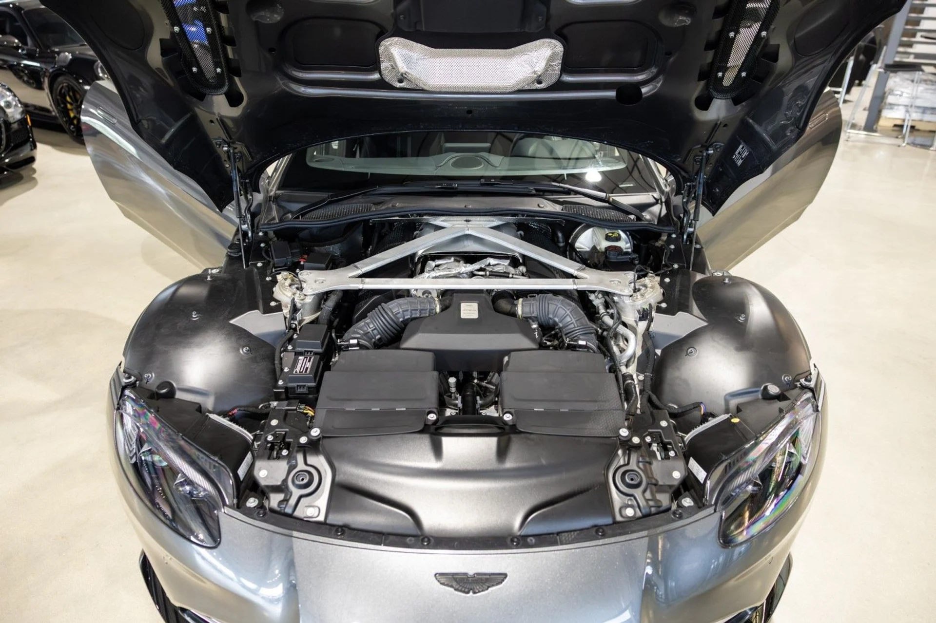 mph024_544519864_Mg_d042967f81