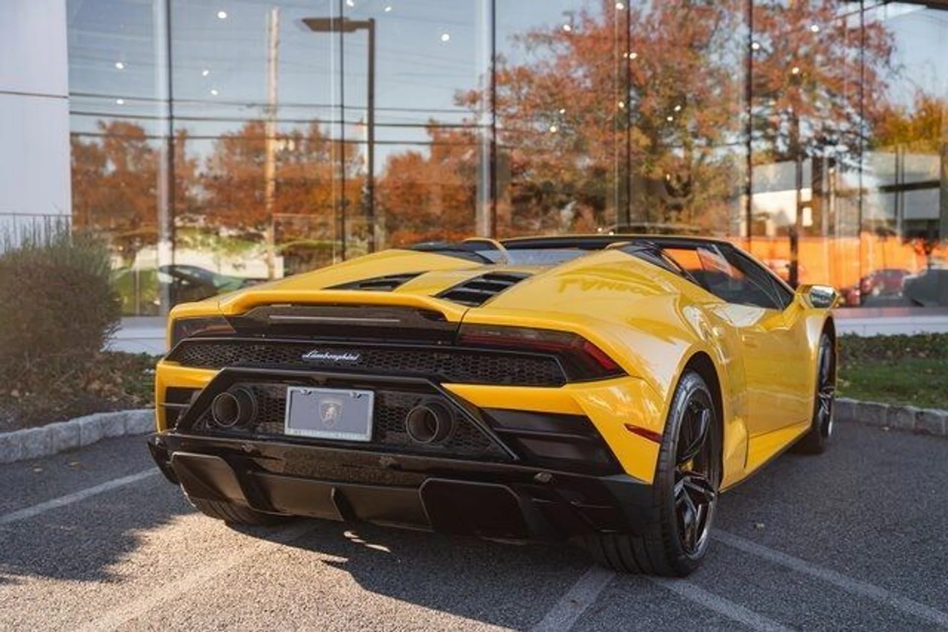 mph024_610908592_dd02310e55e25b319dc3974a69c453fb_dda457199e