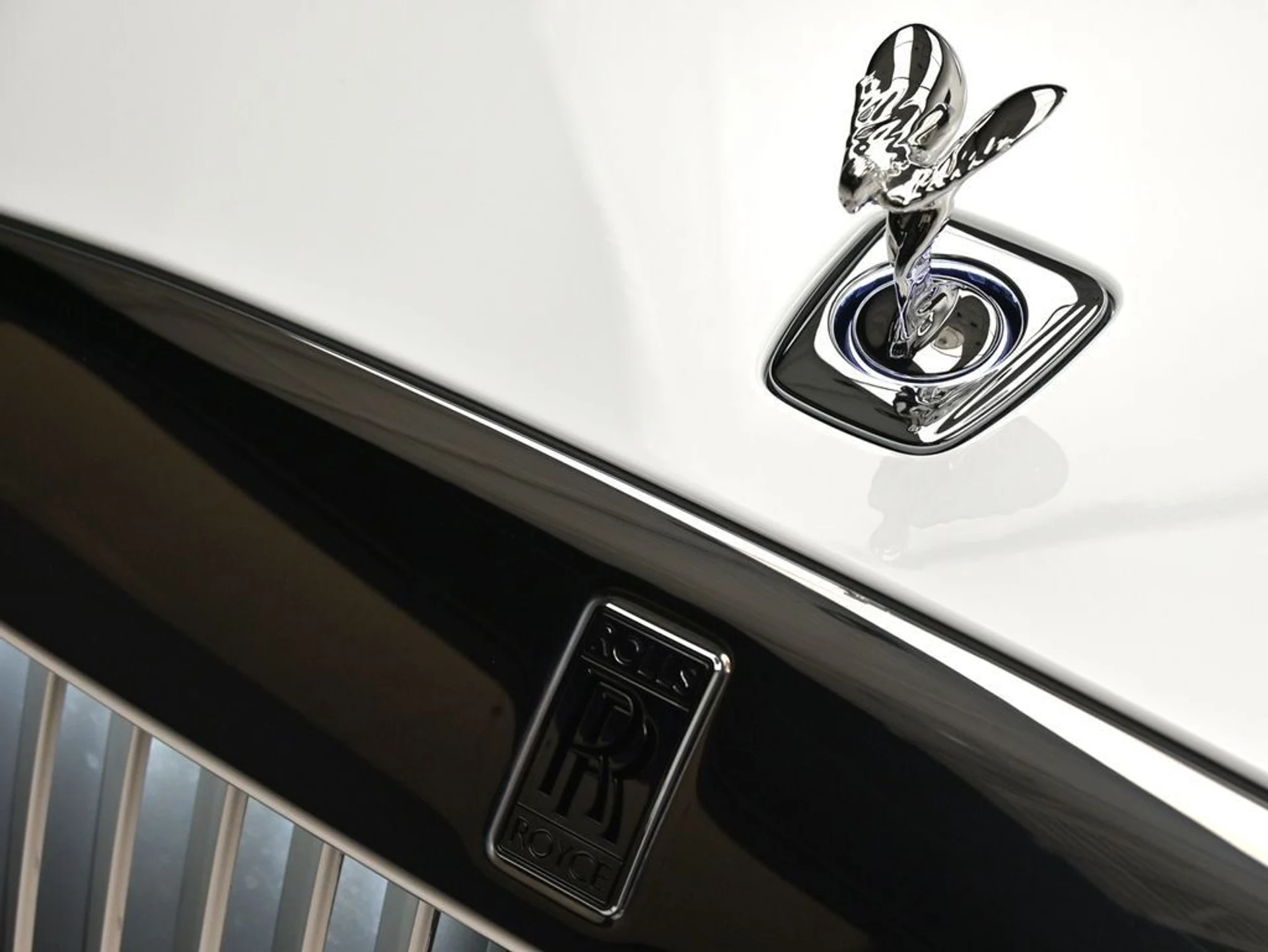 mph024_744423965_007702c2ed795b832fc2aa569fe76a83_cd6efb6fd3