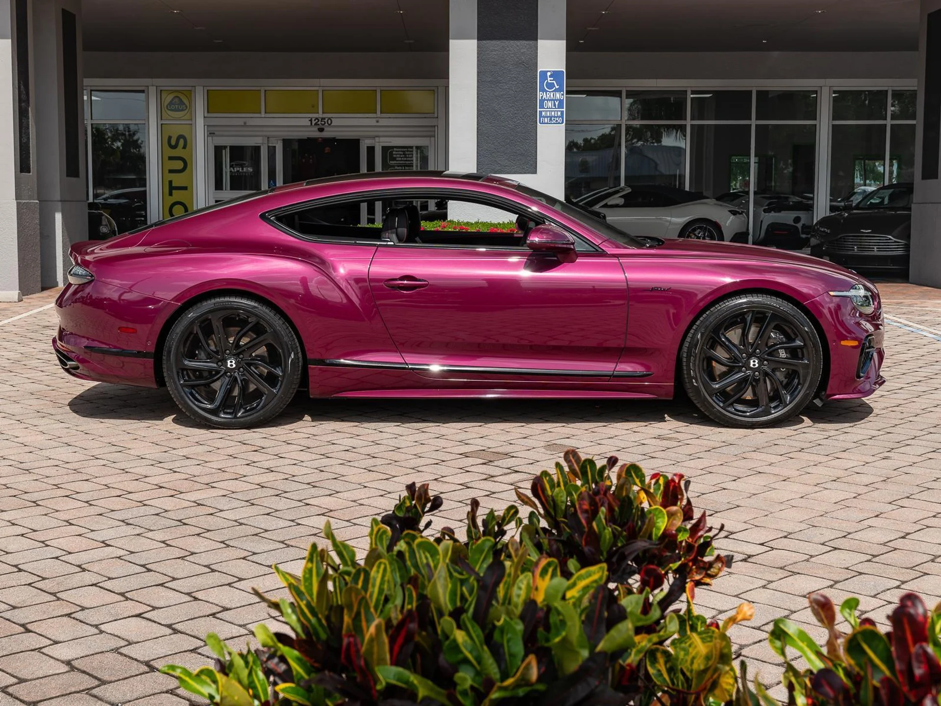 mph024_76793240_Used_2025_Bentley_Continental_GT_Speed_1779912156_fa7c53061e