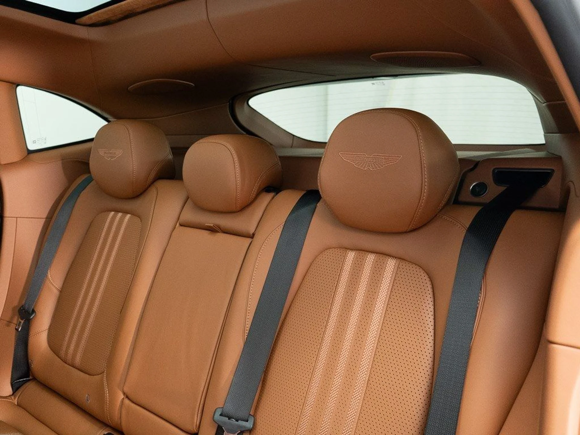 mph024_806462069_1ab673f40a9437e62d4ef9e30d00a05c_658e76029c