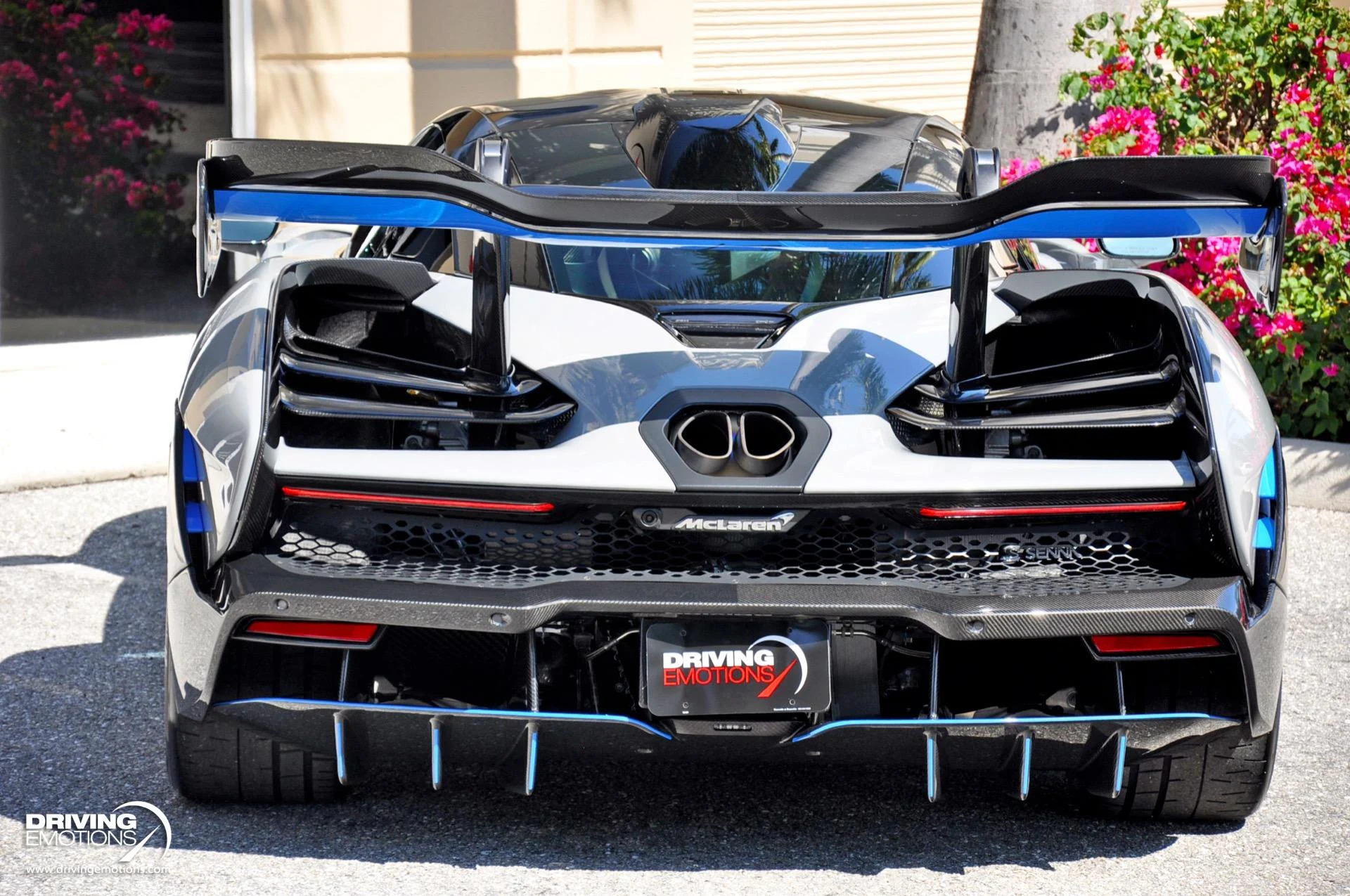 mph024_919128460_683_p25_l_257f9f00cc