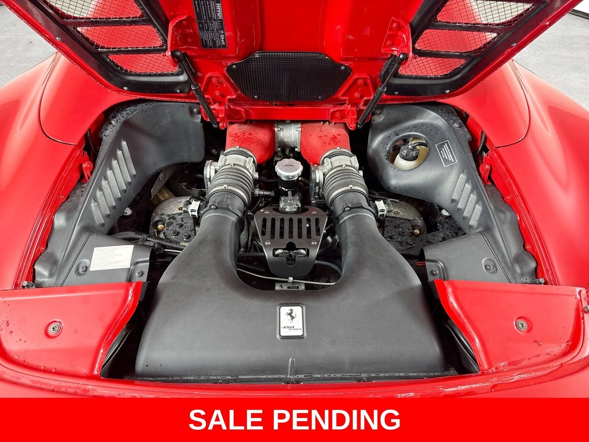 mph024_976373383_04abd73ad6833be1fb486bd4da6fd1a7_16c25bca85