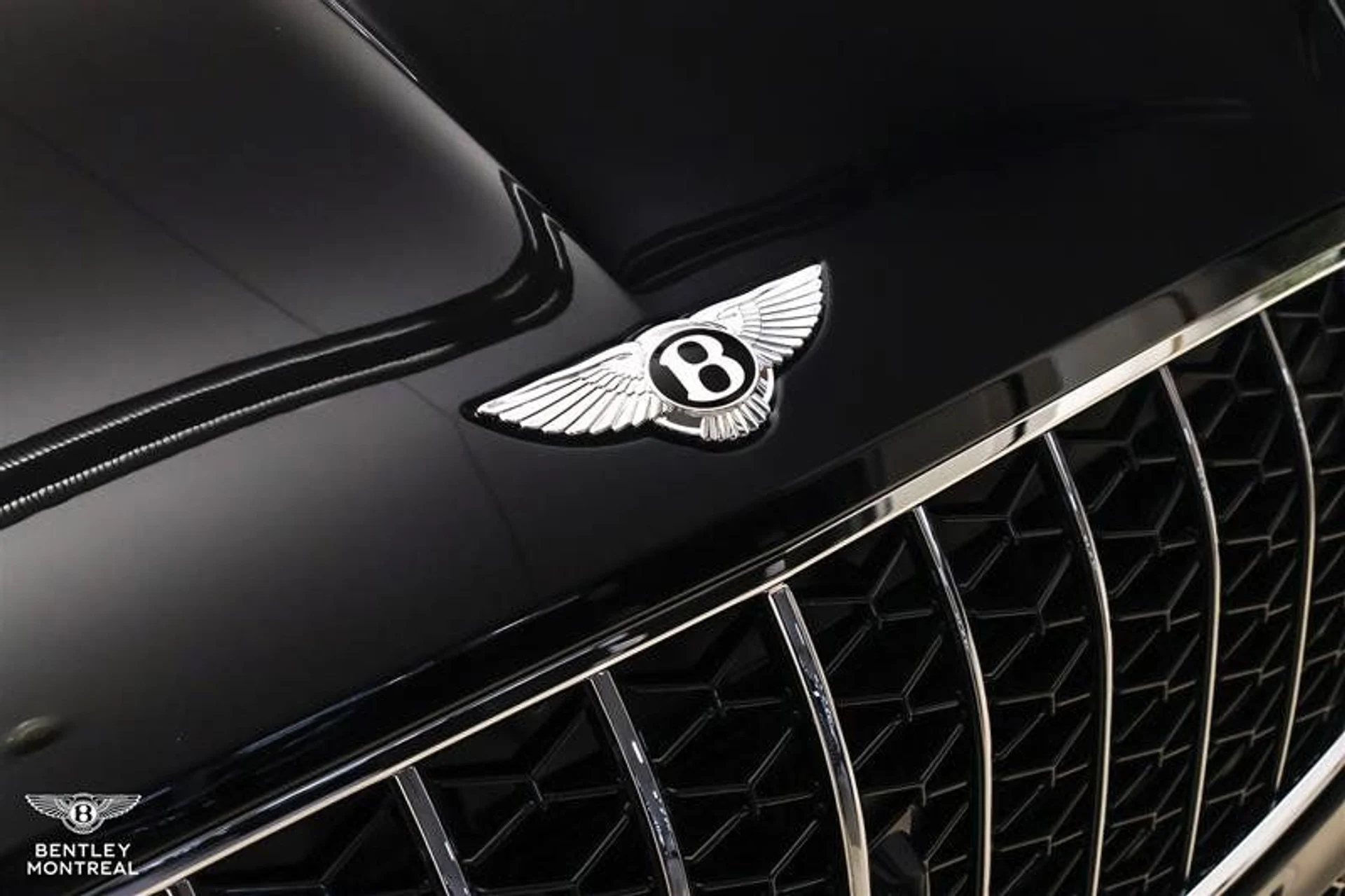 mph025_1017894224_37503925_07499_pwvmn5j4_7aa8cc280d