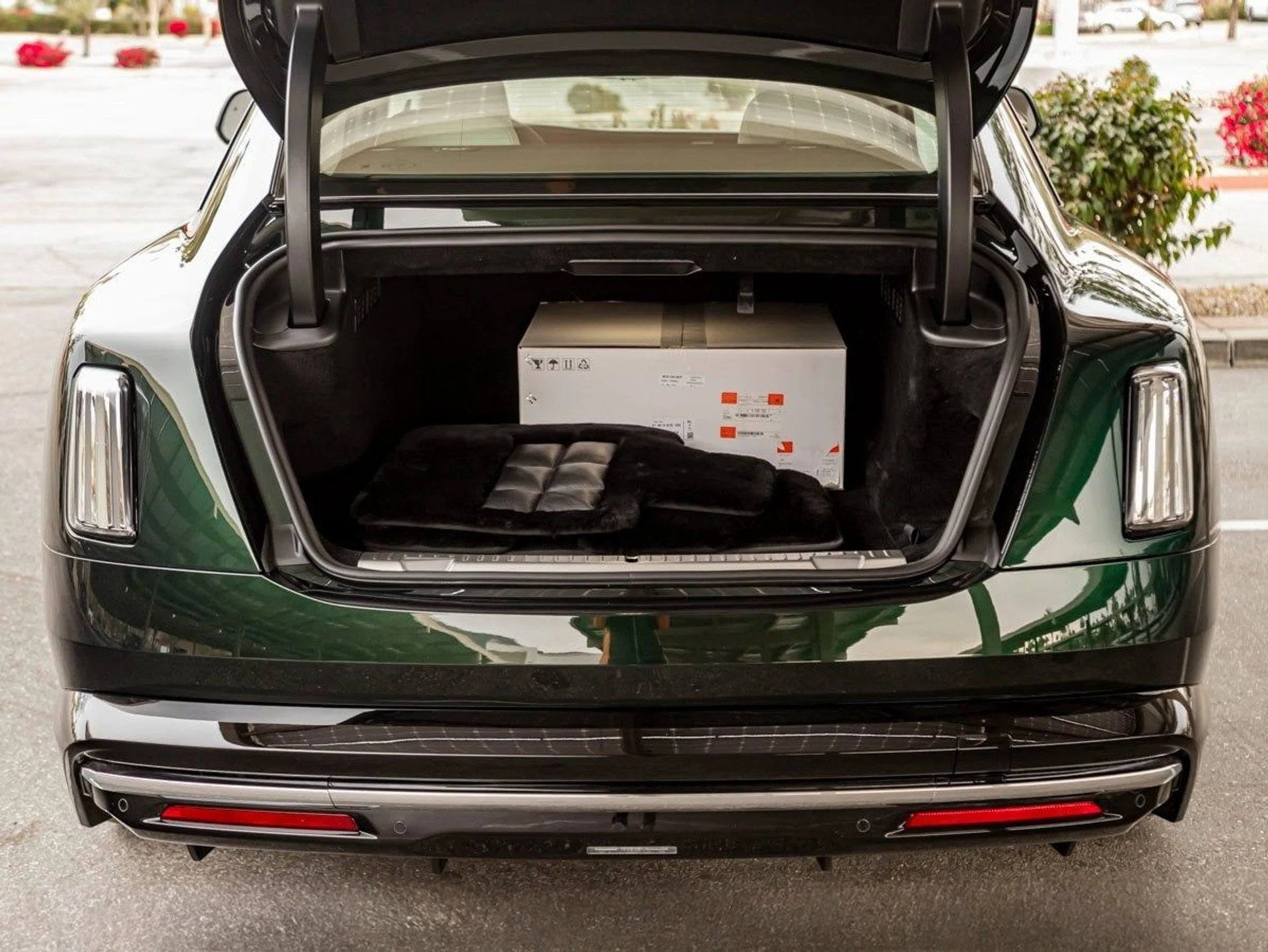 mph025_1139537218_26_d9ddb44368