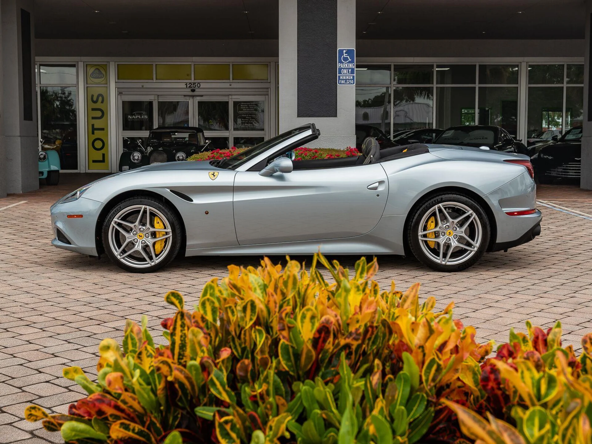 mph025_1171101716_Used_2016_Ferrari_California_T_1785949663_84f1d6f62e