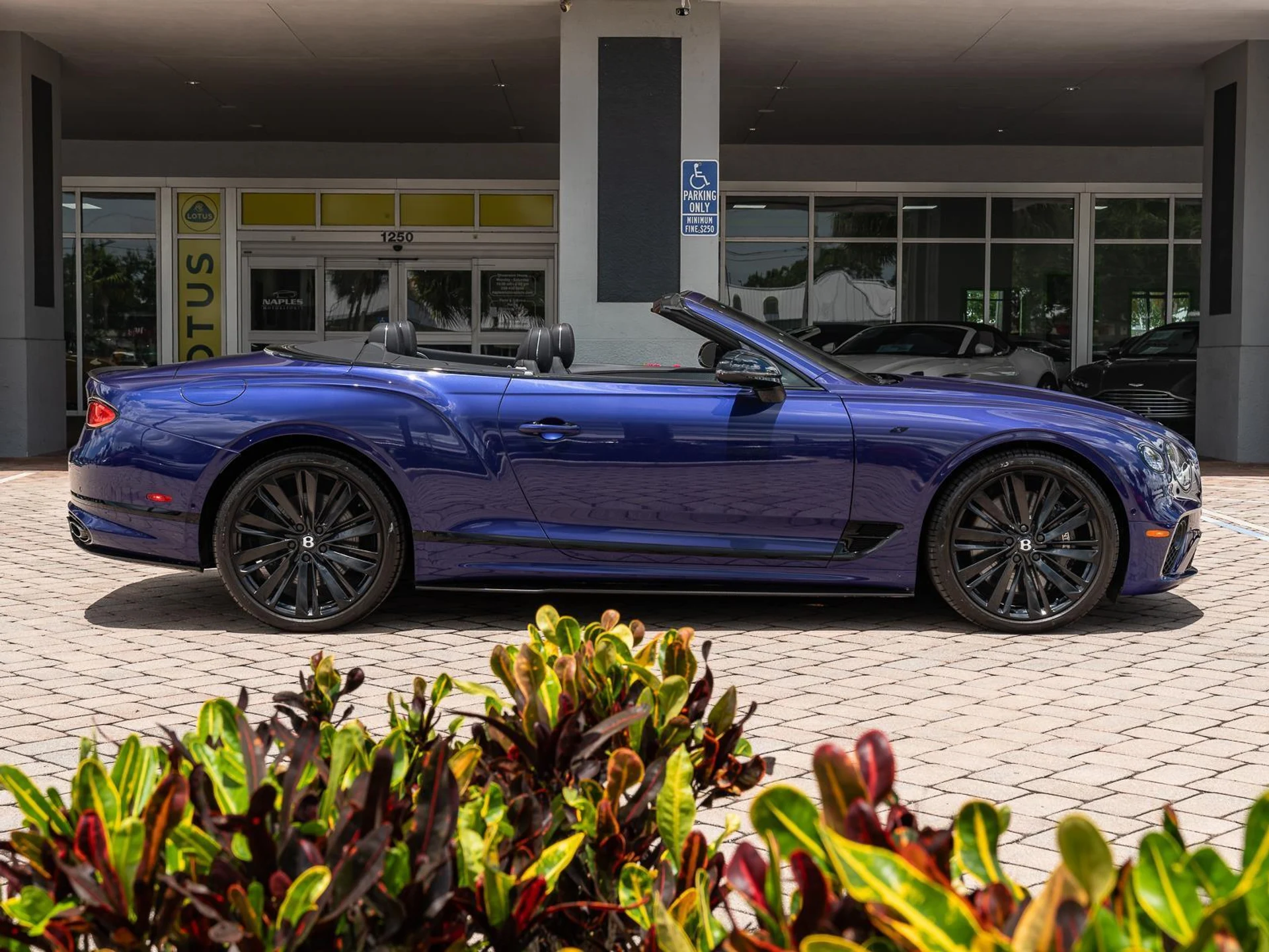 mph025_1387553620_Used_2023_Bentley_Continental_GTC_V8_1779224576_acc389744f