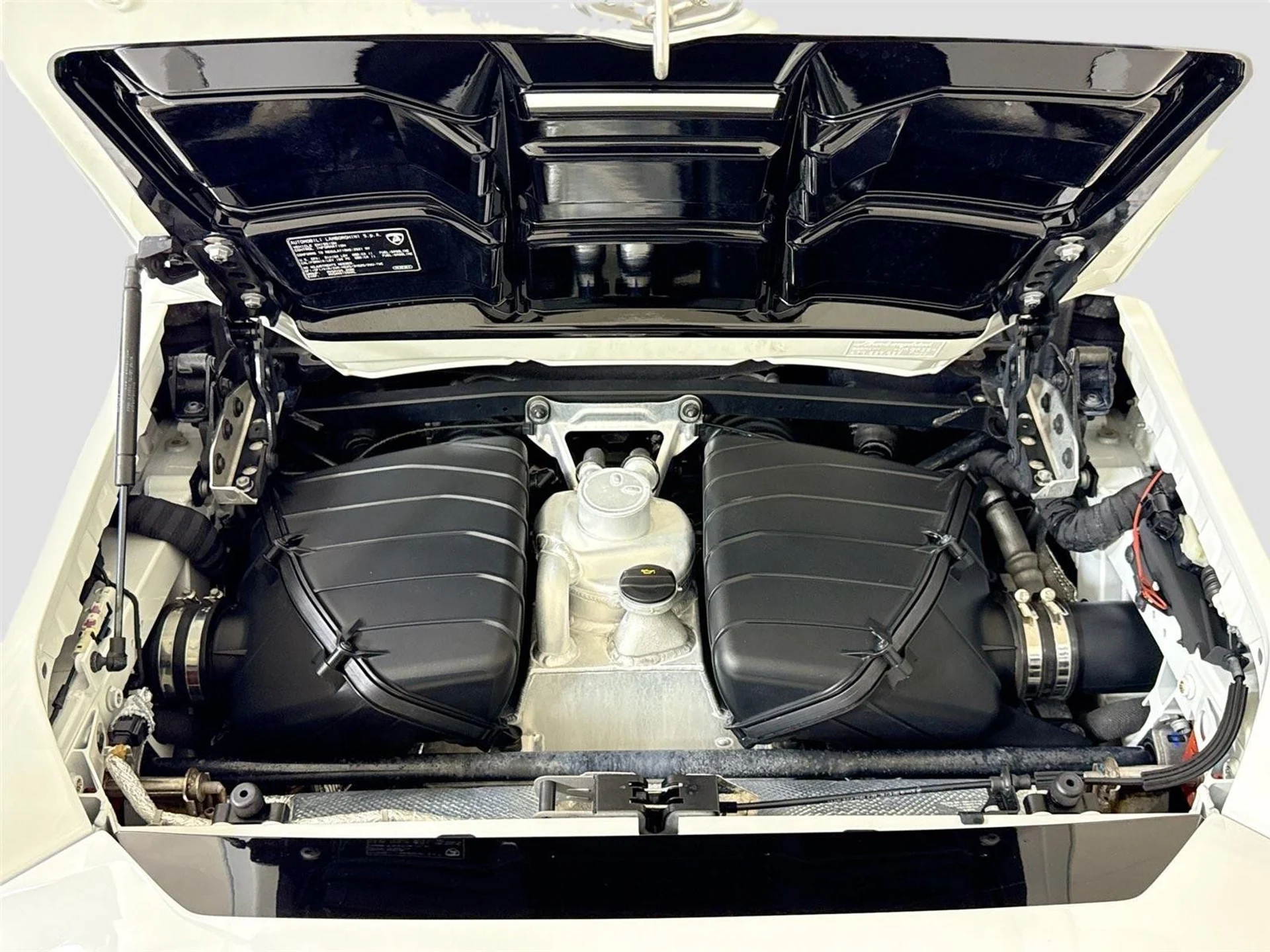 mph025_1992467770_3826706828b9ec04a791c13749245729_a7daf42cf0