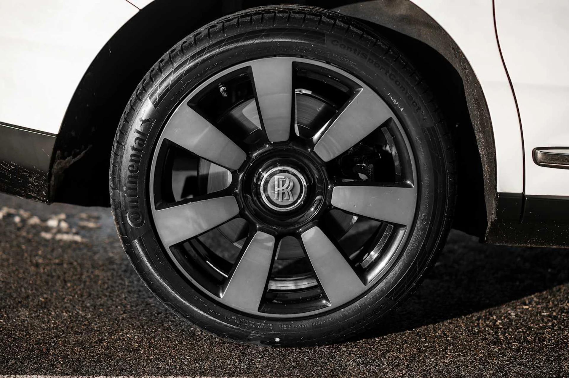 mph025_2042176318_8bca8be25a91578a65760eced9626e81x_cdbd012c31