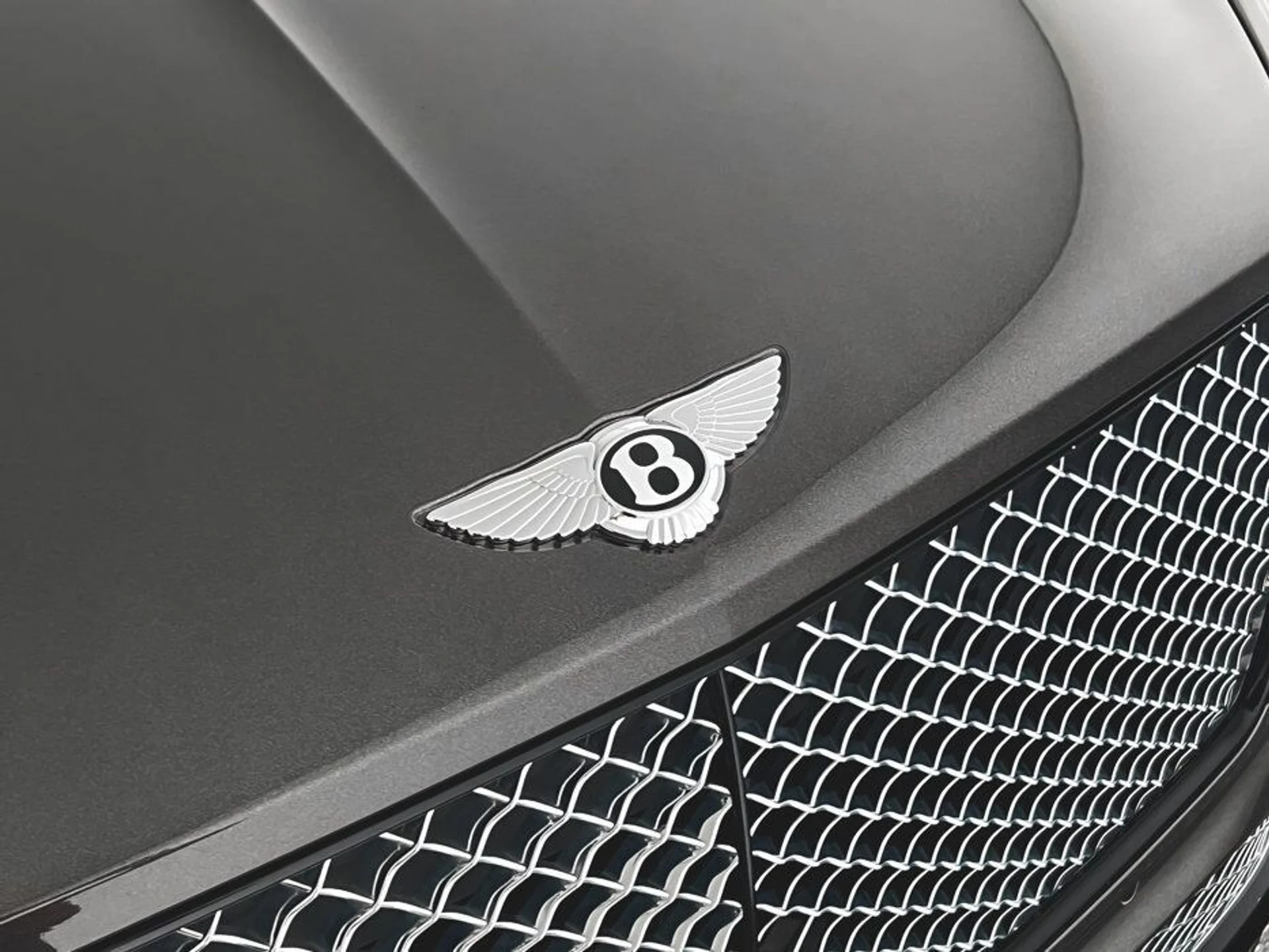 mph025_2159665087_c8e6e1762f681050198271b049496e16x_566db2d09b