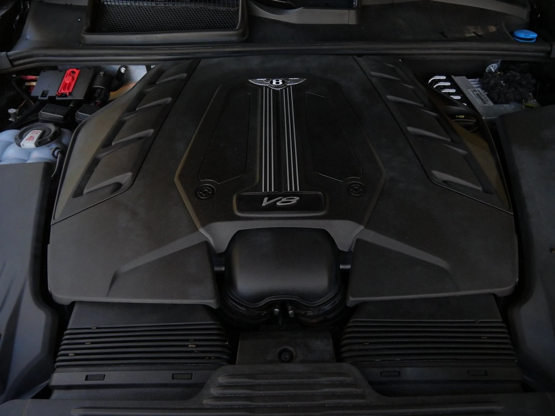 mph025_2215018237_924046c1bac7da0fc510277c7b5a74bdx_8926859a7d