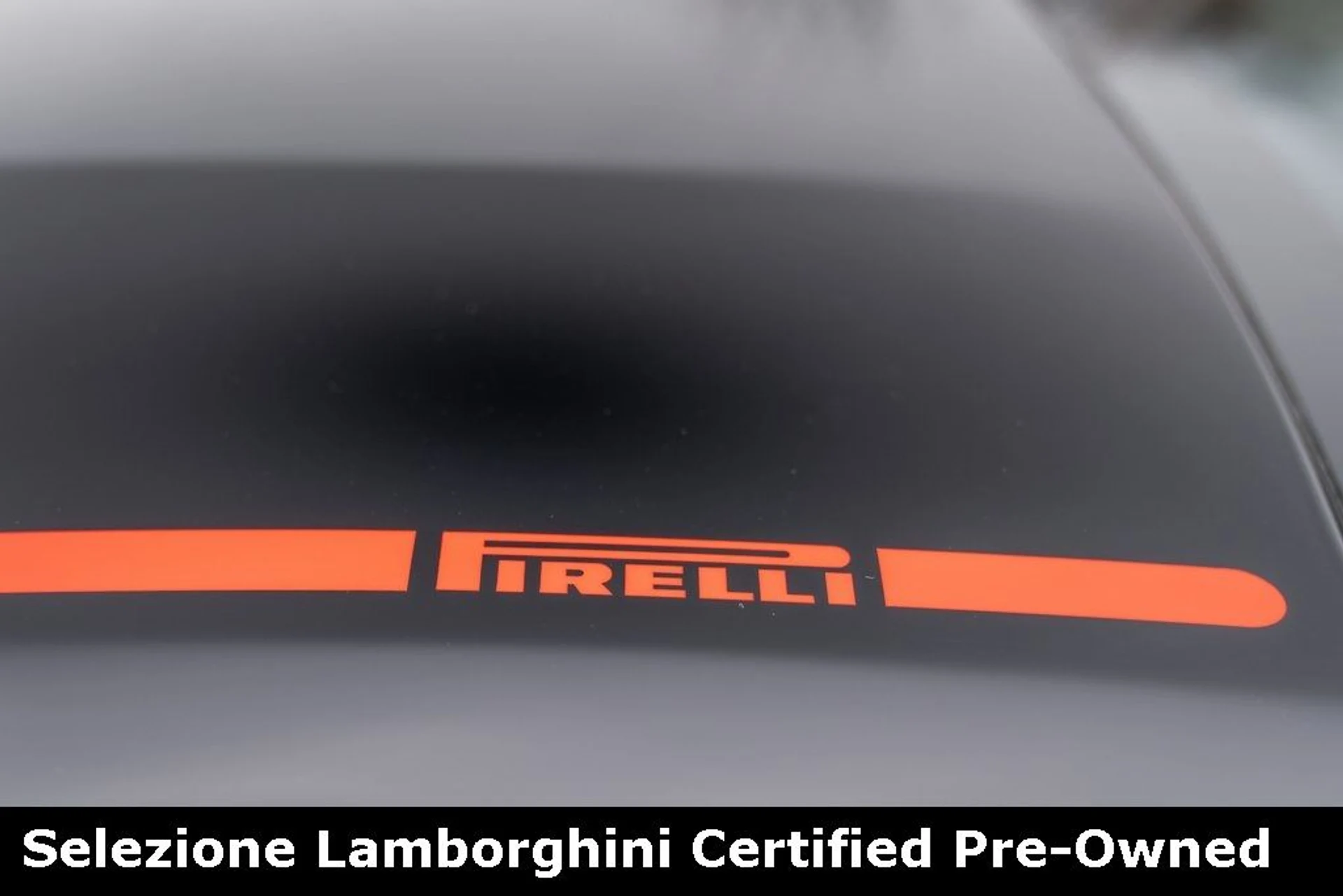 mph025_2311102625_6c134fb3be27968e116595737fb6b9c1x_a7a9254116