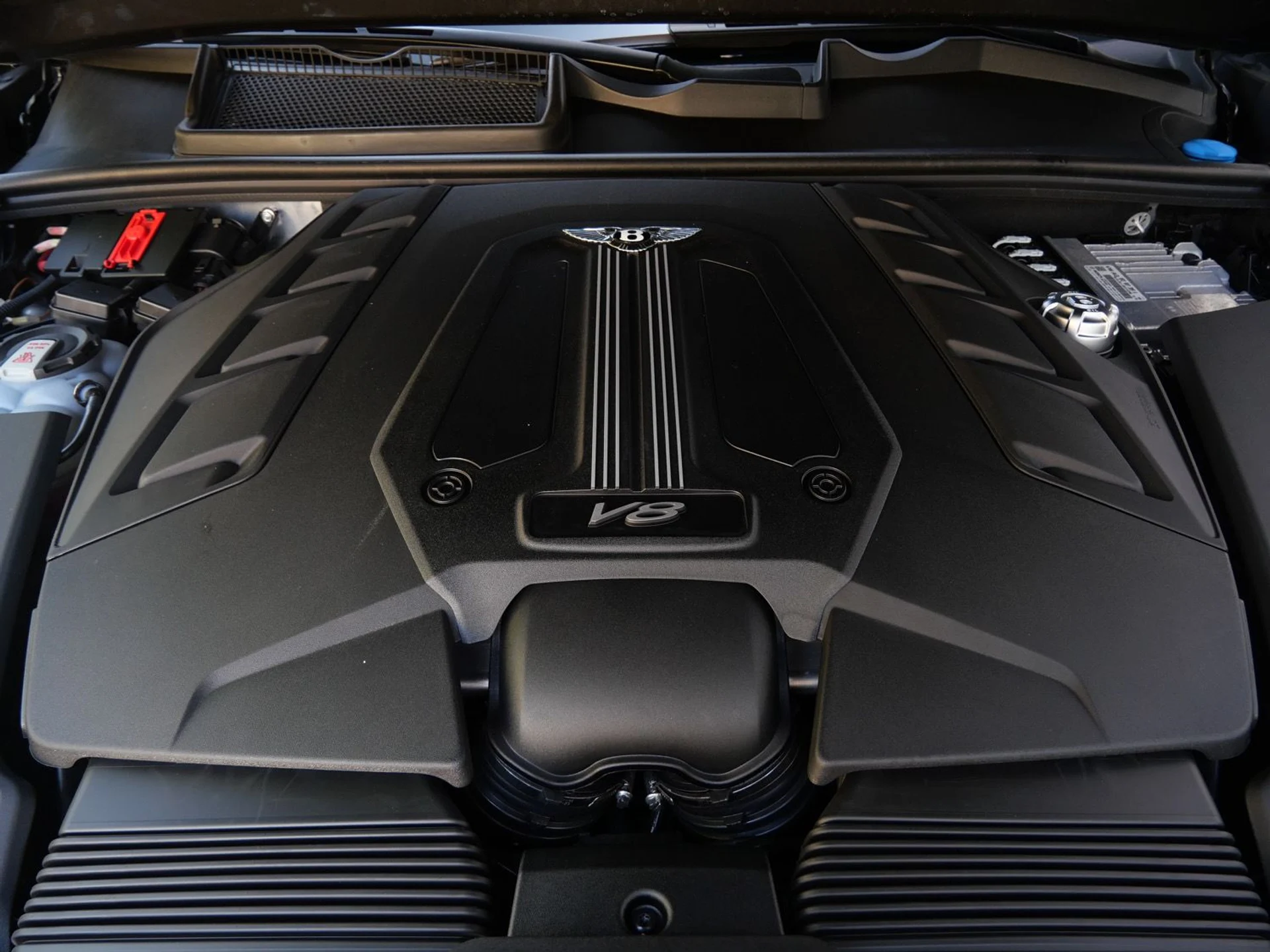 mph025_2379120827_6d0f4941be6ee3e6c4f9ea7c86b41d50x_d095f8e98d