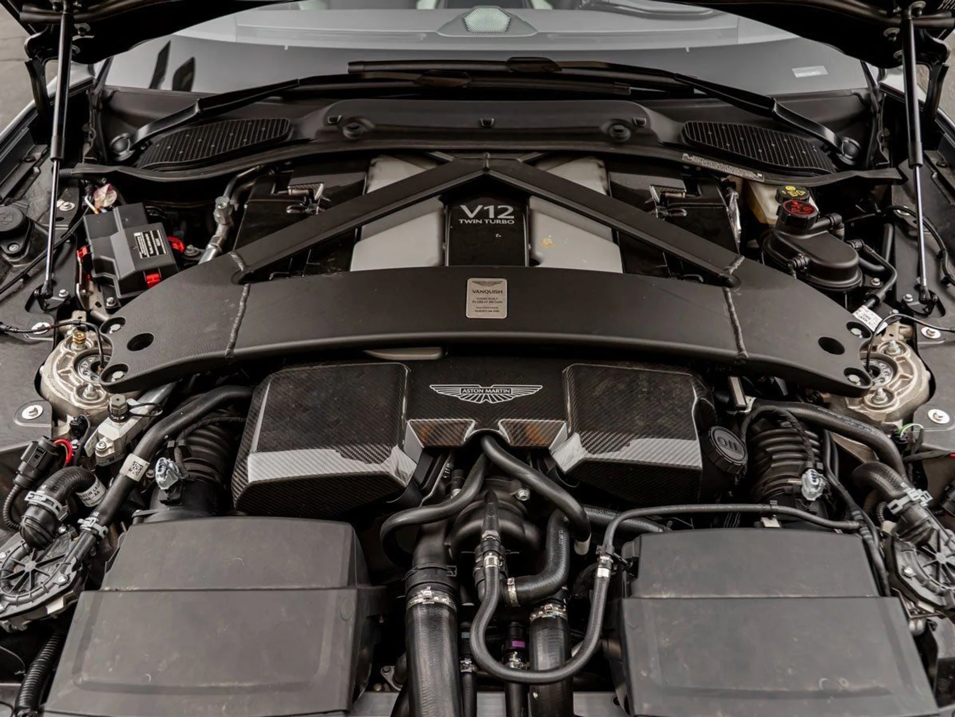 mph025_2451748666_26_701cebe39e