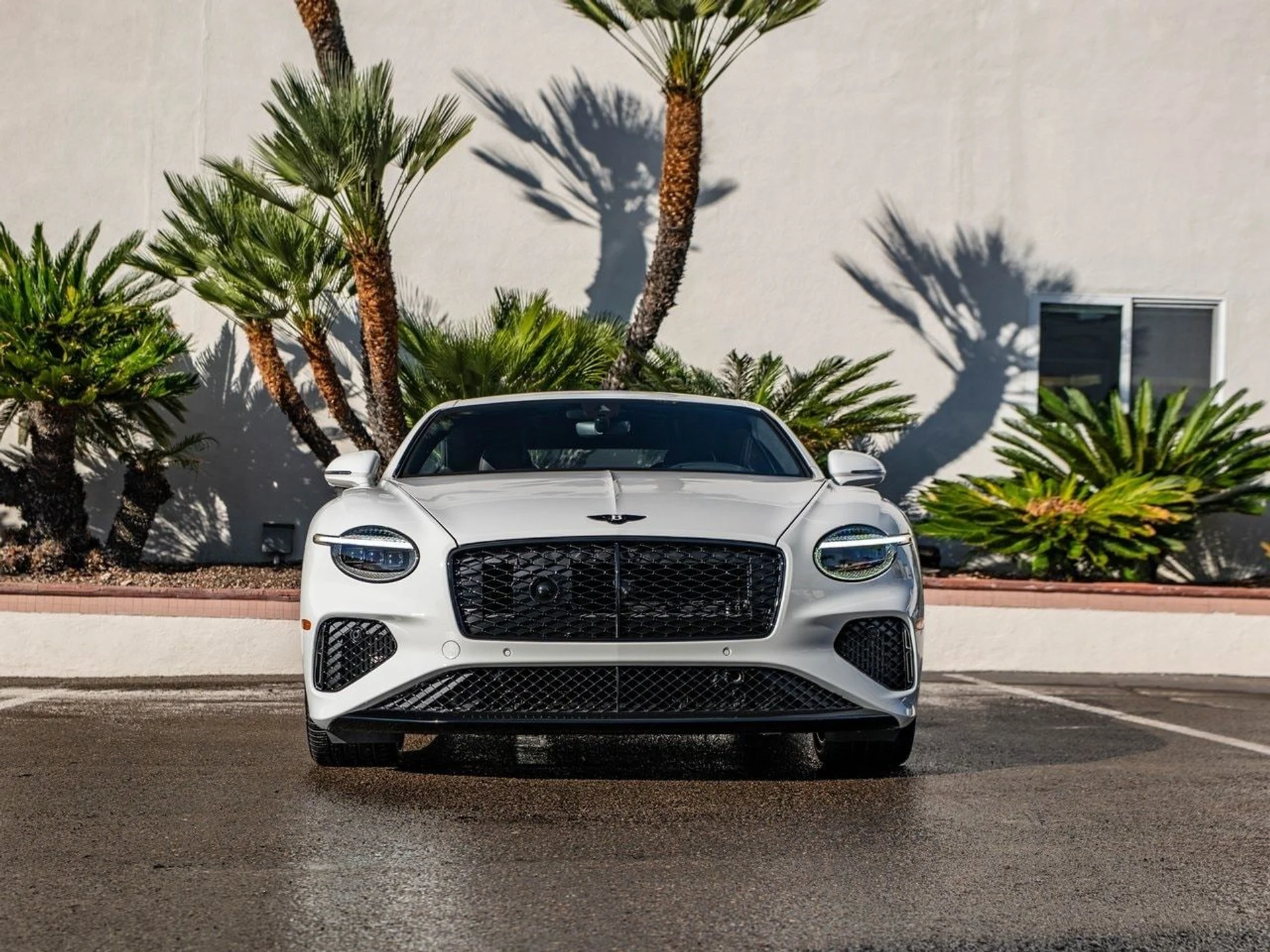 mph025_2456131060_58714b8d809ce3889ccbfd12f61f5095x_aa11785f52