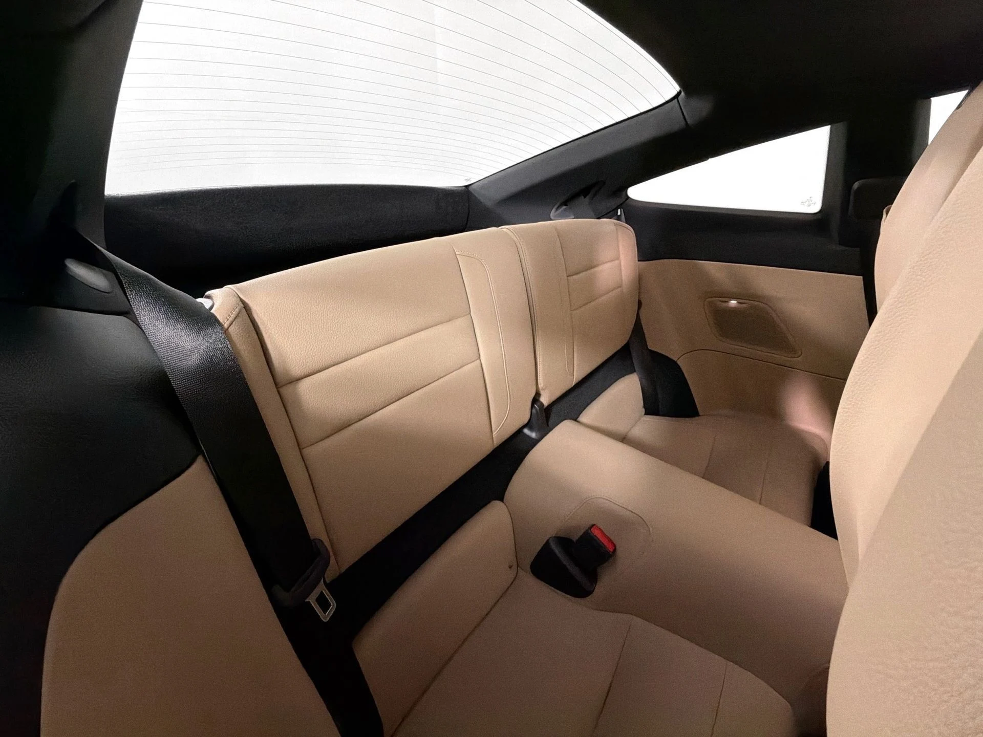 mph025_247275312_cefb831a55e21cbb3d0c67576e85c431_2443234251