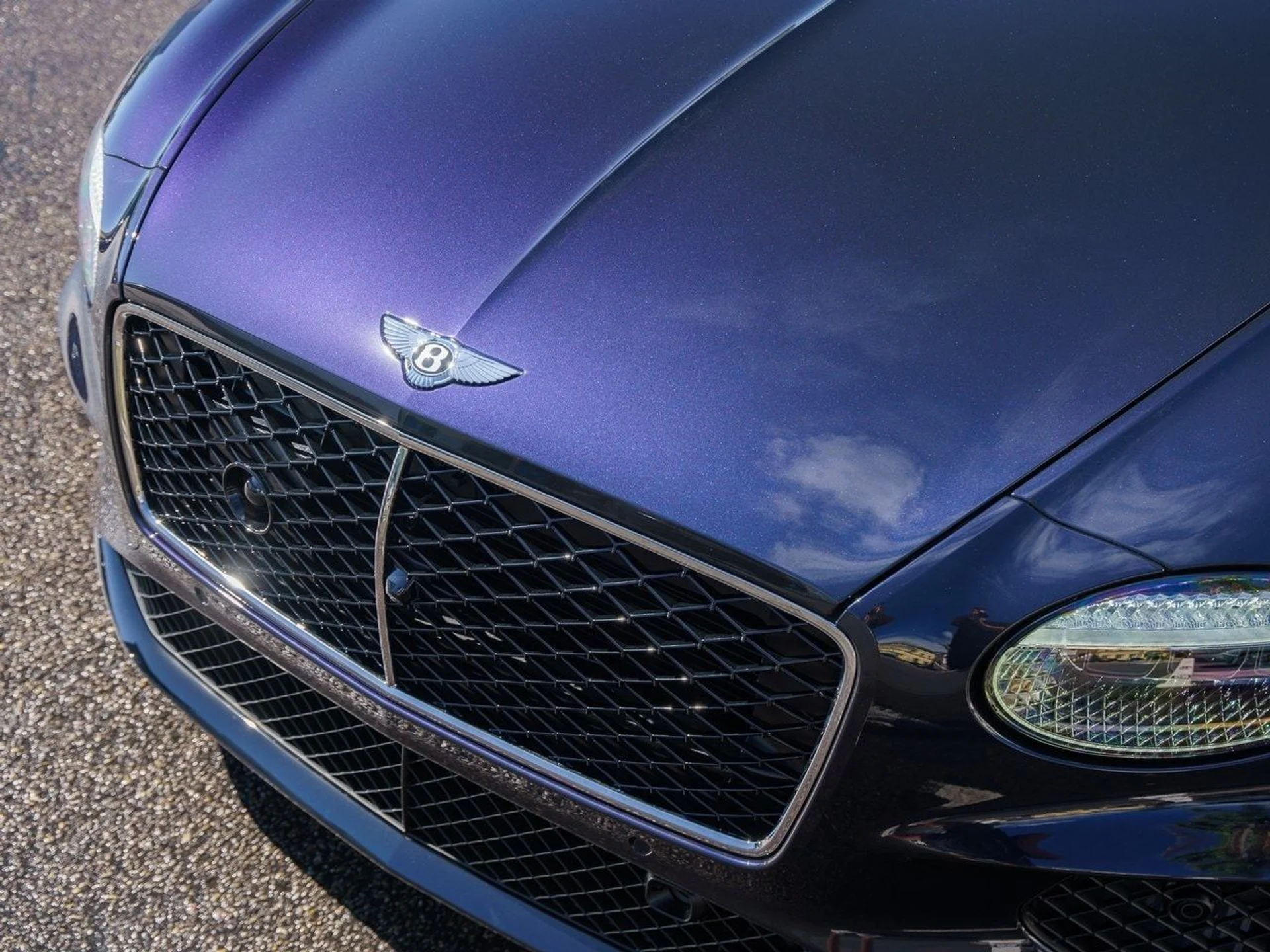 mph025_2577996826_8386529e3f46eca79c9d5e81762e172cx_ec3e4491d4