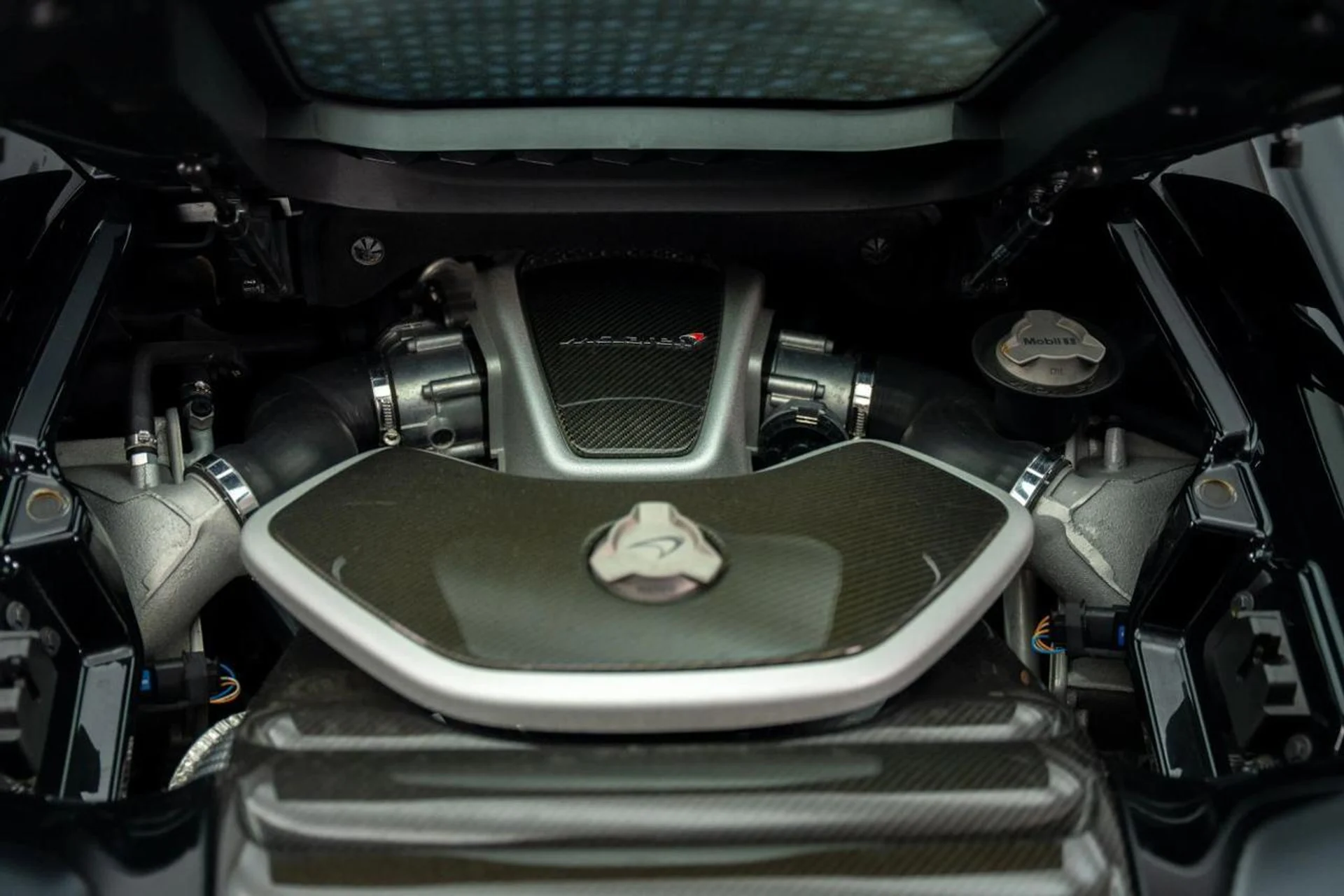 mph025_2598442018_923484e8d12165b92352b389fdab644e_297a5feb86