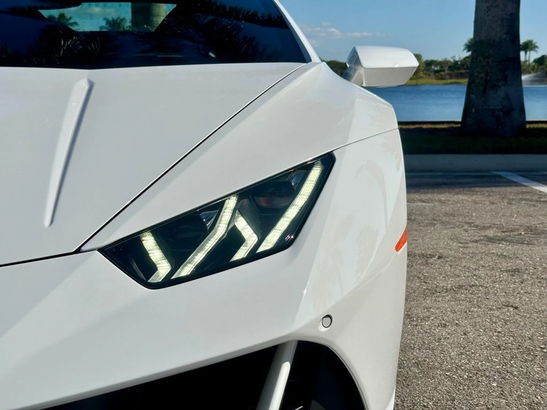 mph025_2621741505_d10b1d5883c9e0b5e92539f92e94395b_e5cd2273a0