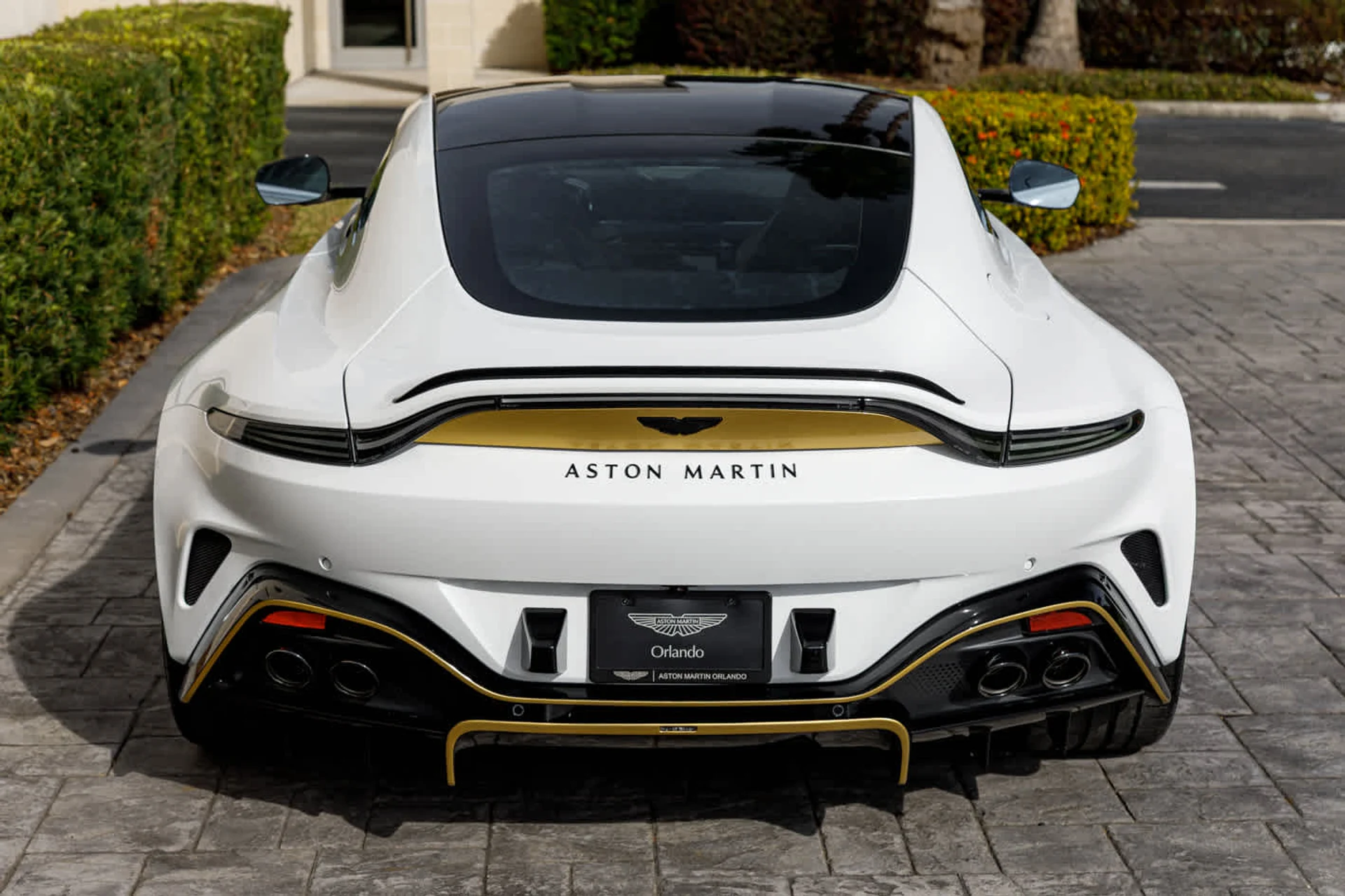 mph025_2665052114_26_6dadc44721