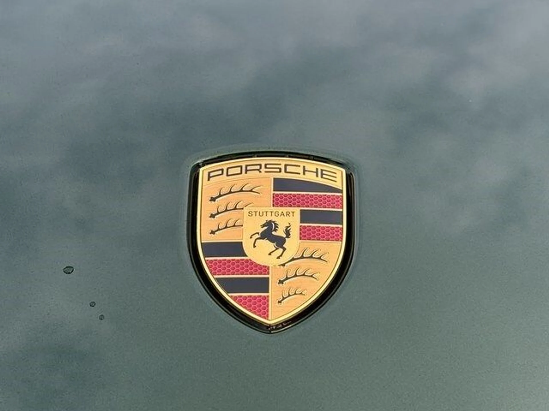 mph025_267005628_f37d65892cf8a20185a5c87a821b3f6cx_e8731ed9b2