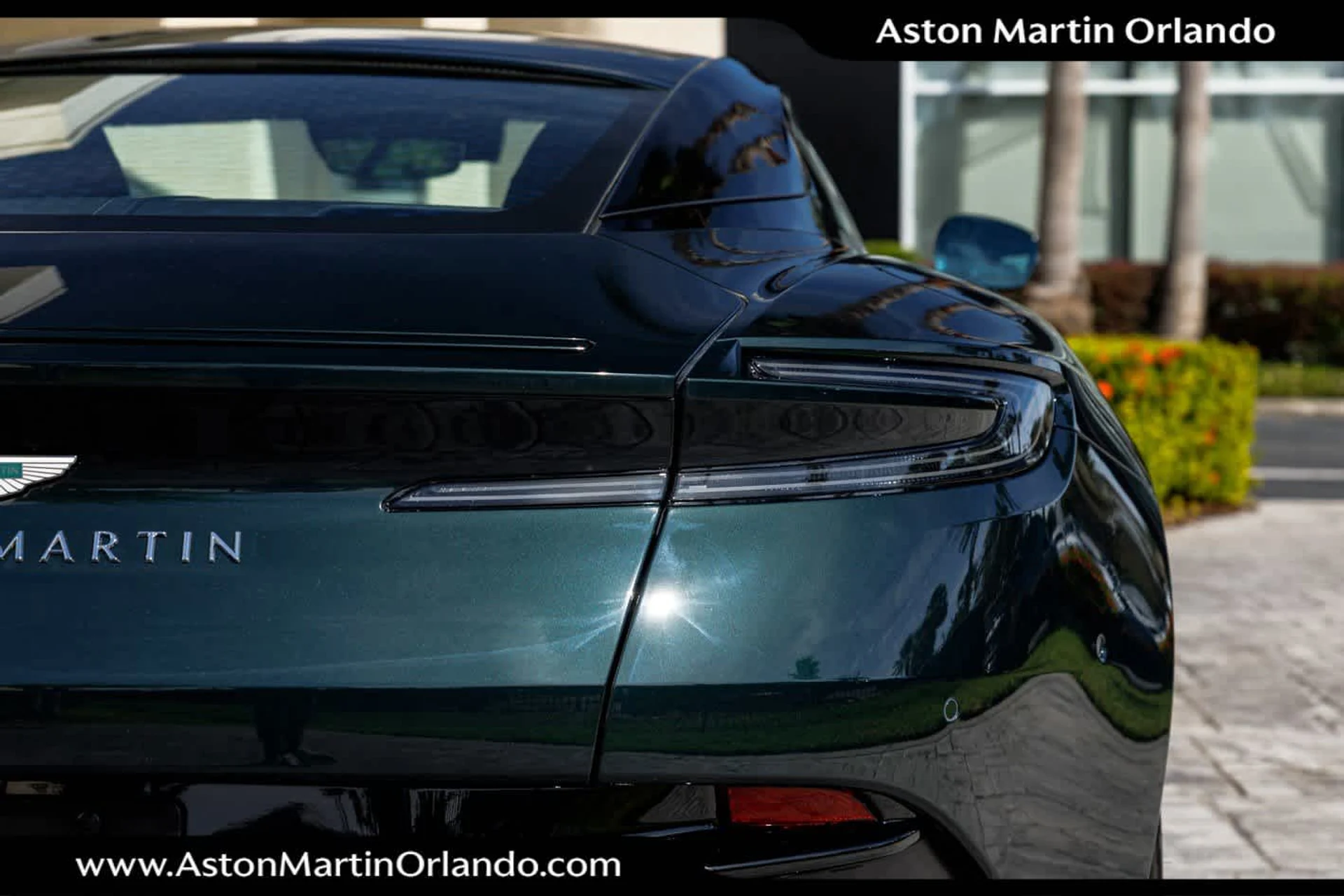 mph025_2760800442_26_2af20fe56a