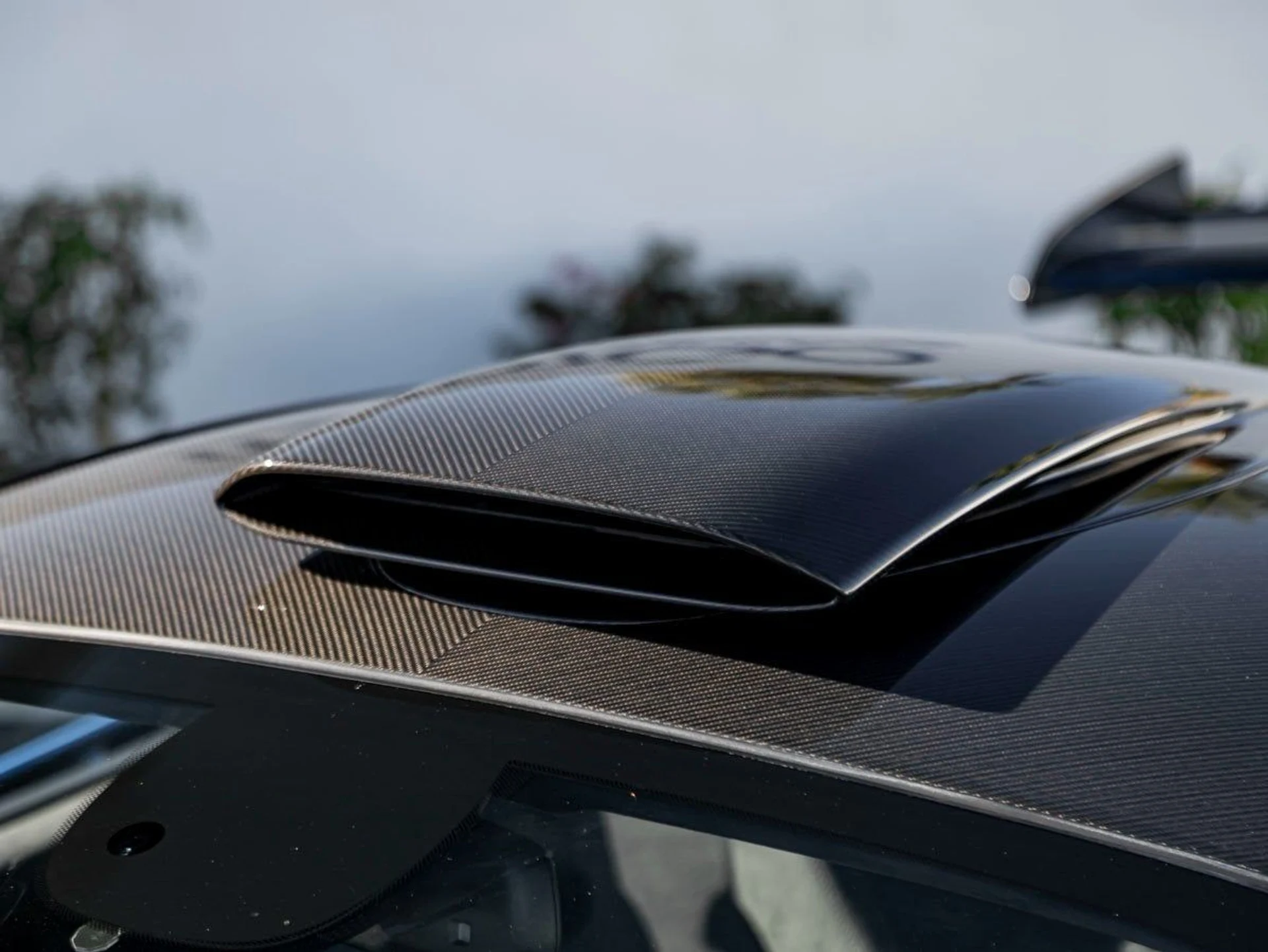 mph025_2893896742_26_4435db88fe