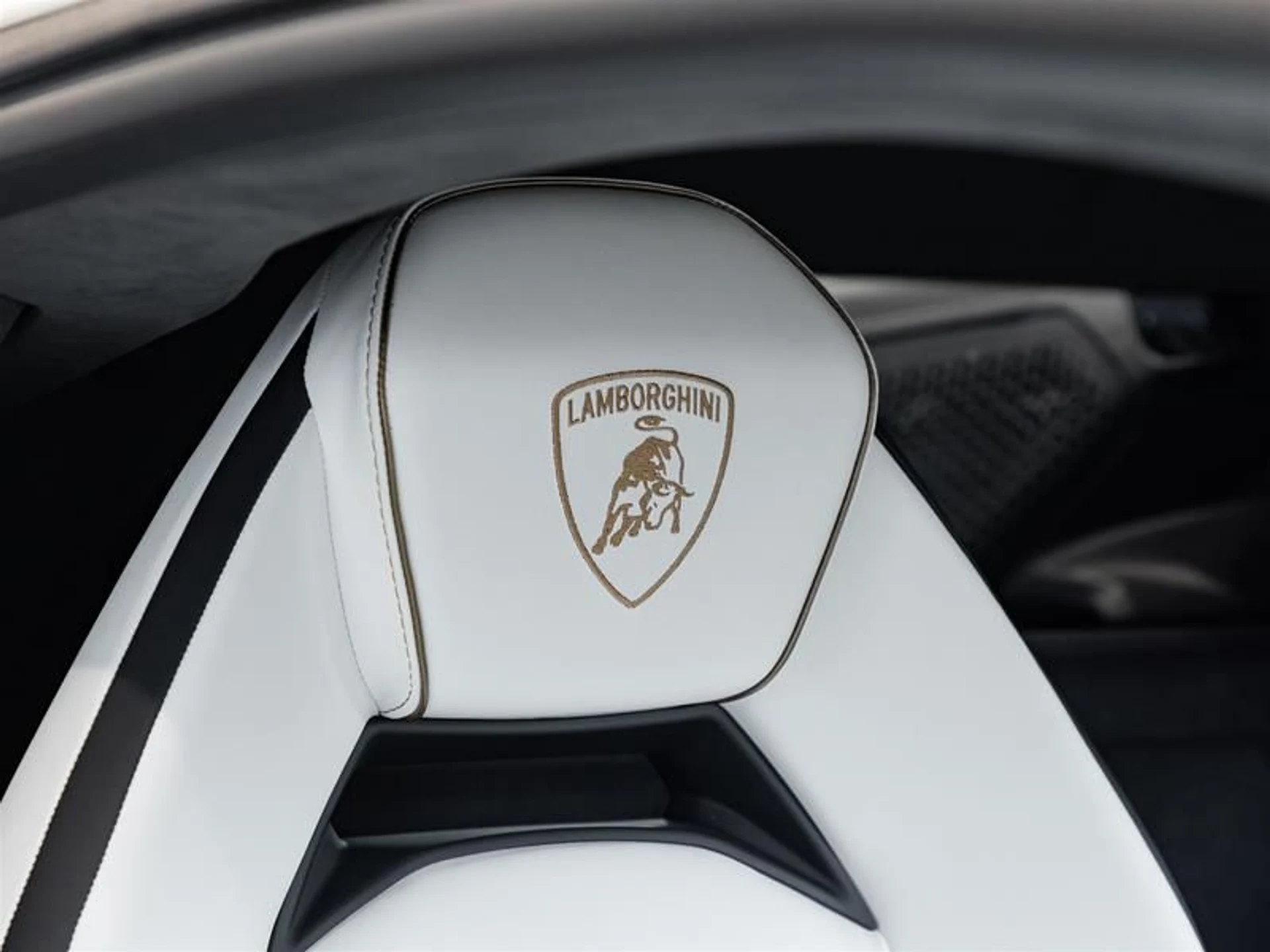 mph025_2934146674_s3yhqr5n_3f2e4c5439