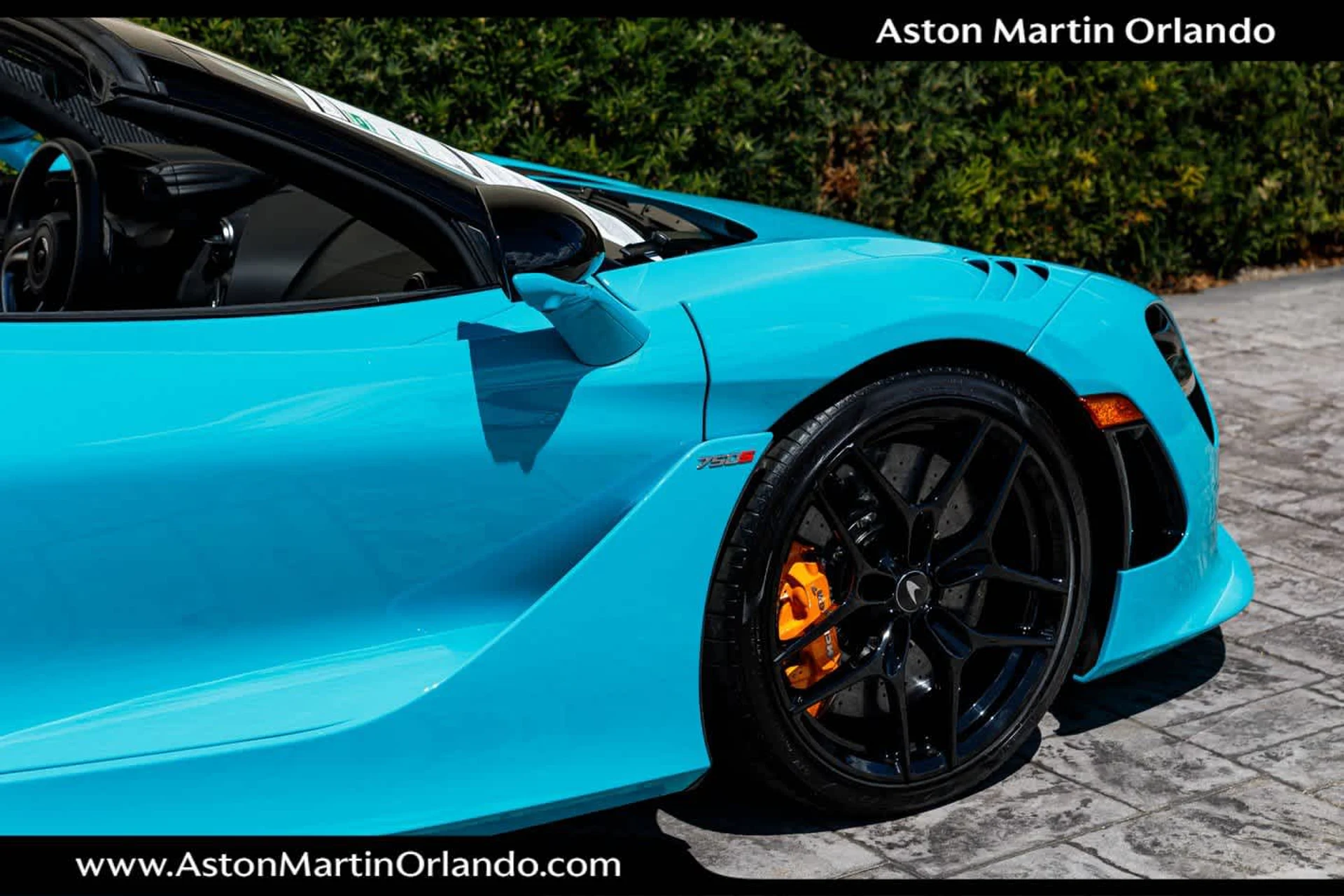 mph025_2946580657_26_e8f46c492a