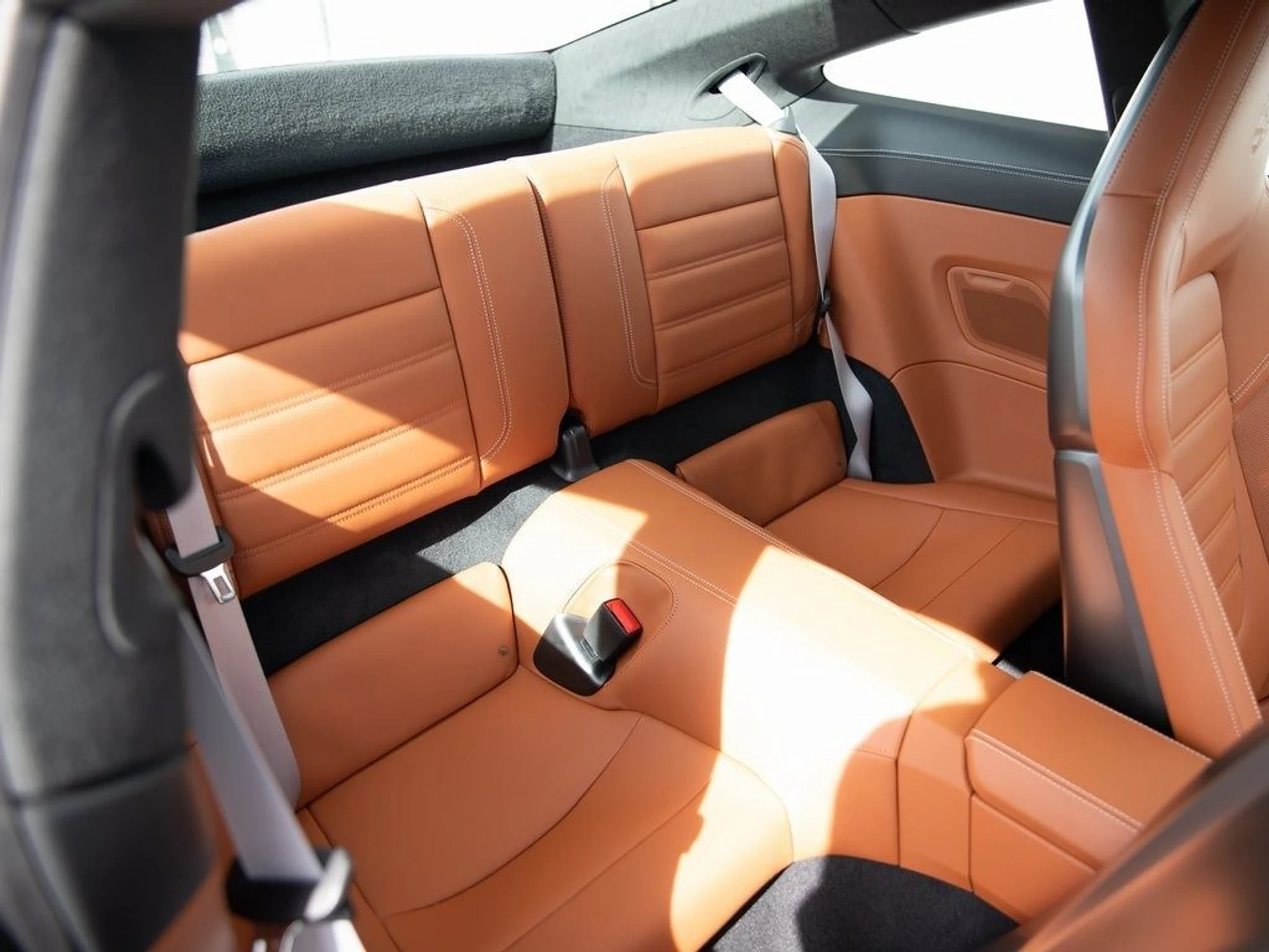 mph025_3073810446_cd1d905dbe31ef93f62e717eec6f1fcdx_29b79172d9