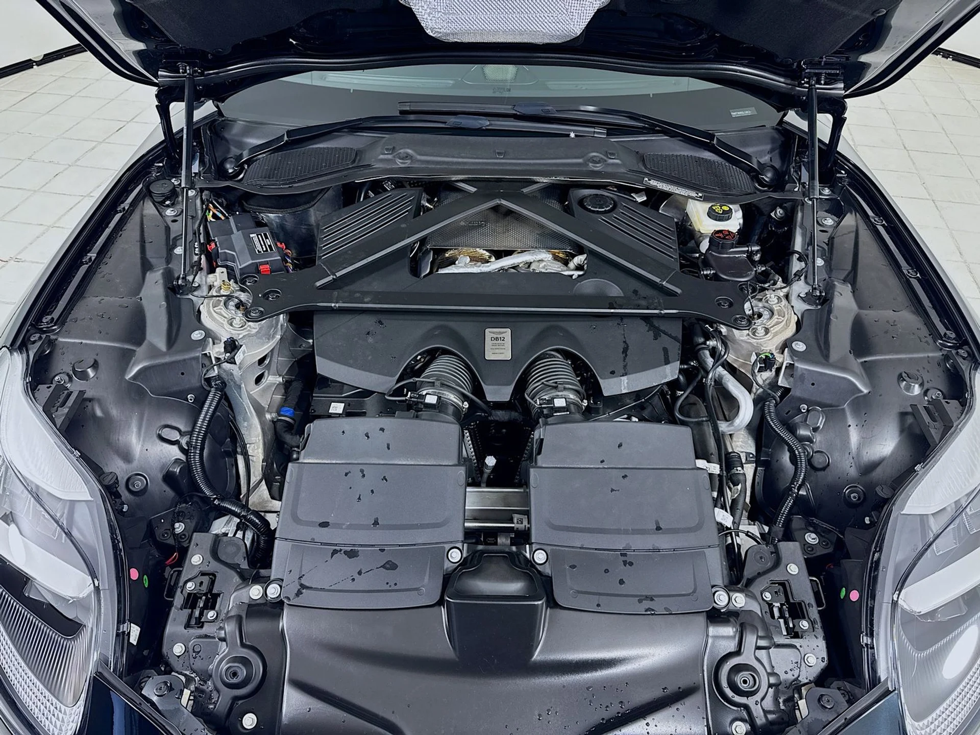 mph025_3194238202_80f1f1aec5d25cd7e82178aa1412e39dx_29ce972591