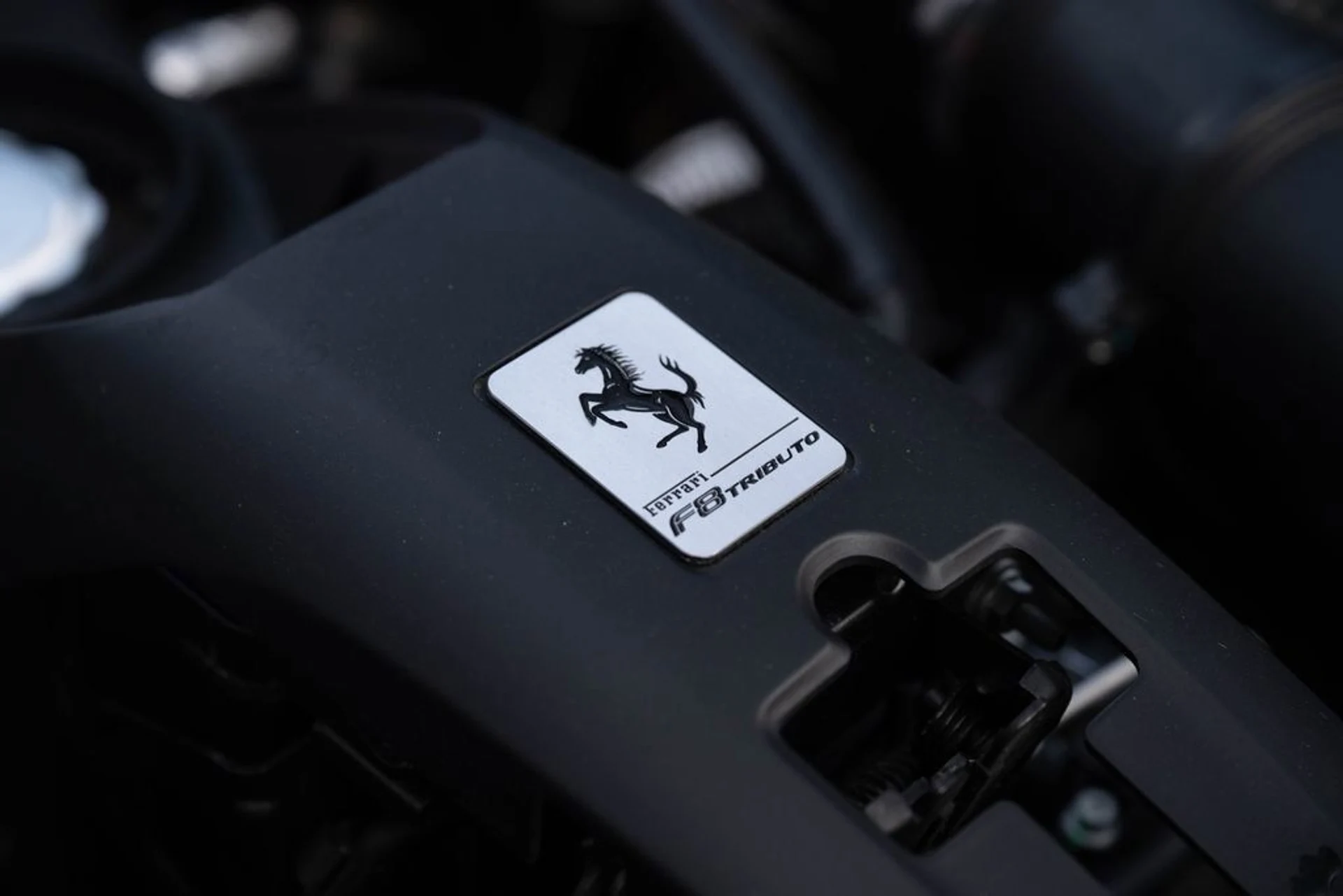 mph025_327117927_46b256e750d3489bb52b8e68e8adfbaf_d5c465804f