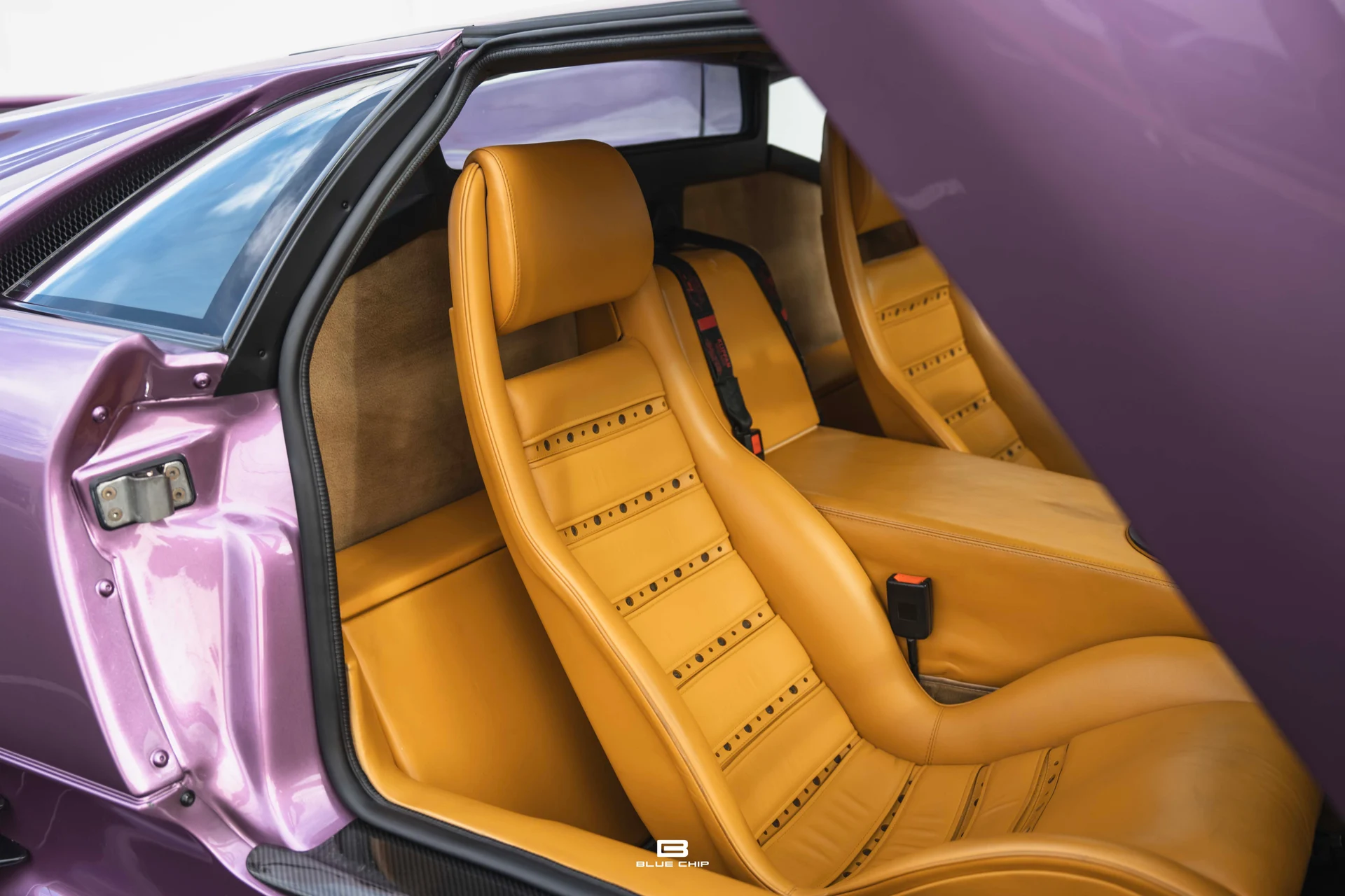 mph025_3353385201_68965dc284c7393e8e749c02_DSC_02032_d765ff2a8e