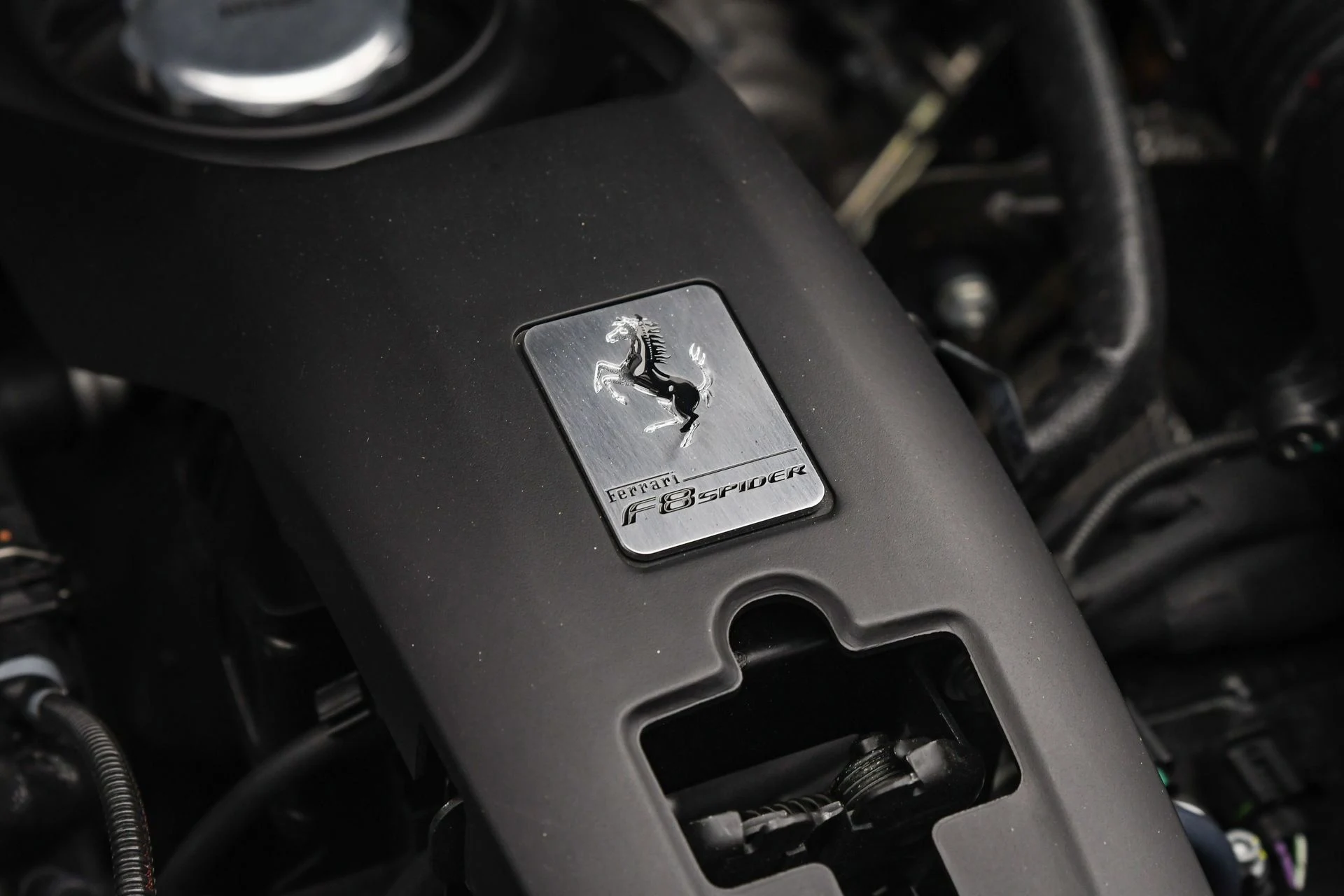 mph025_3400156973_f6368b1a230f4a12b709a1995c541b23_e70ae6521a