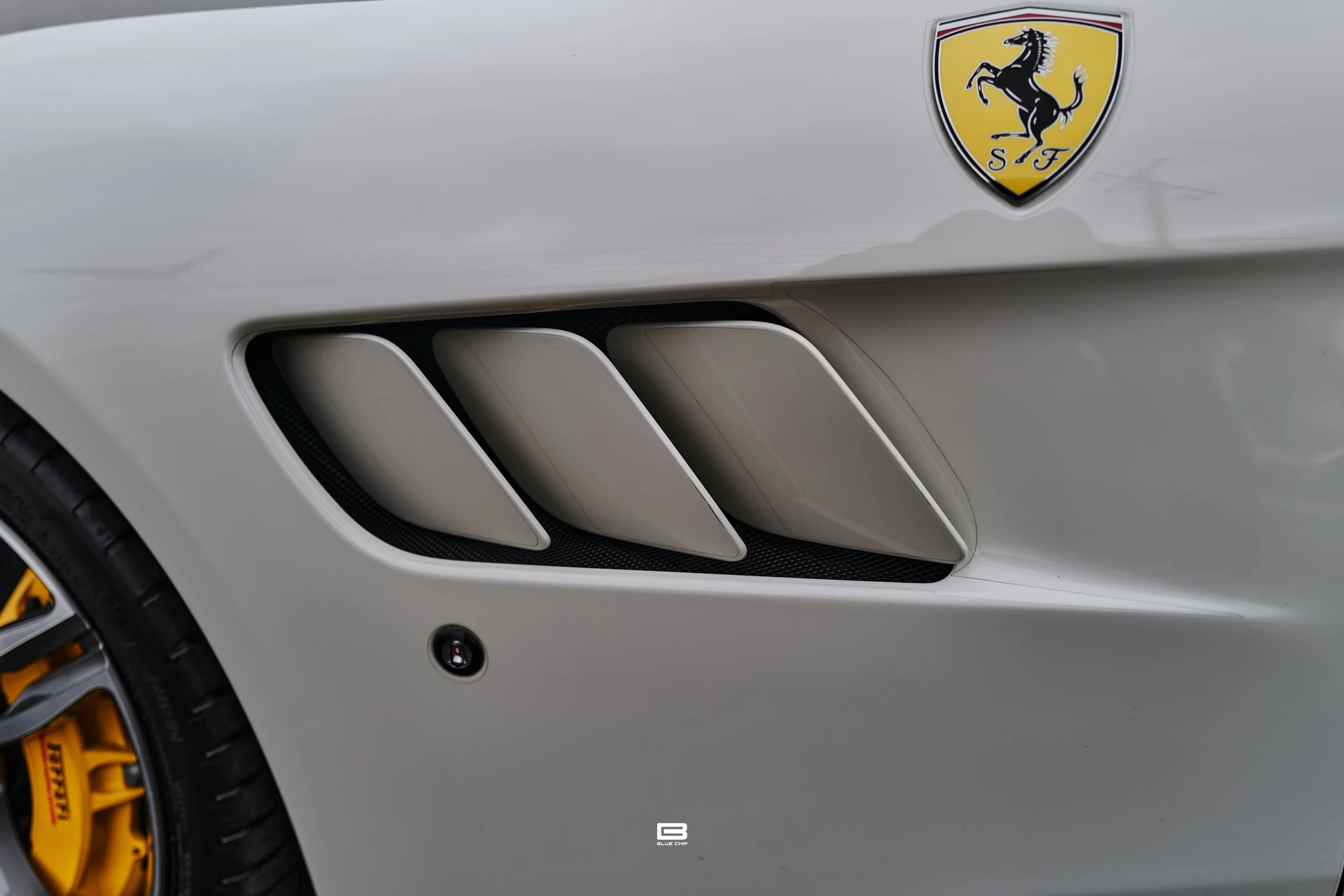 mph025_3470177796_69e2a48366b4b2b37301f9d9_L1220536_f036df6d92