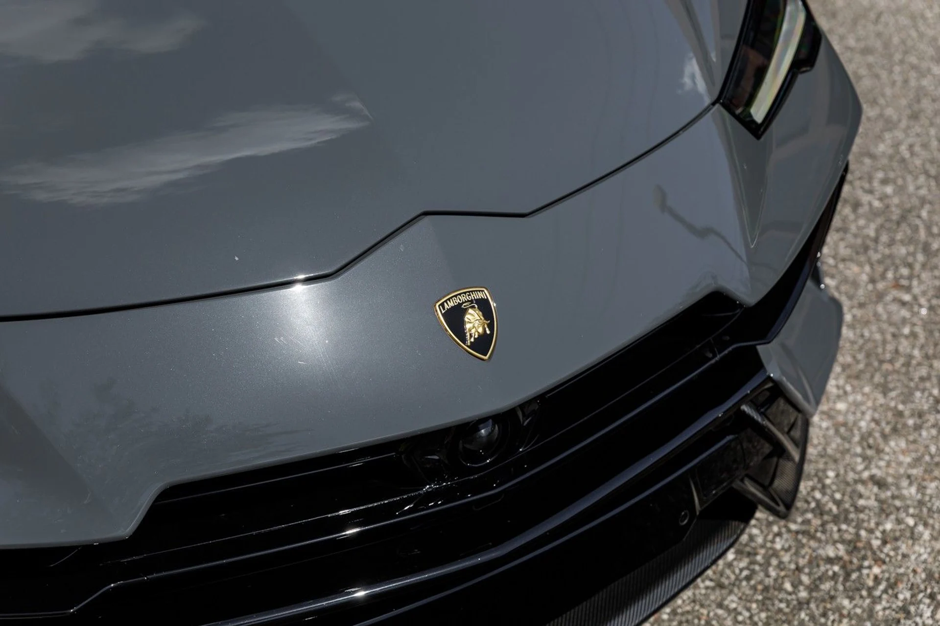 mph025_3622824672_667_p26_l_c3e2cc9bb3