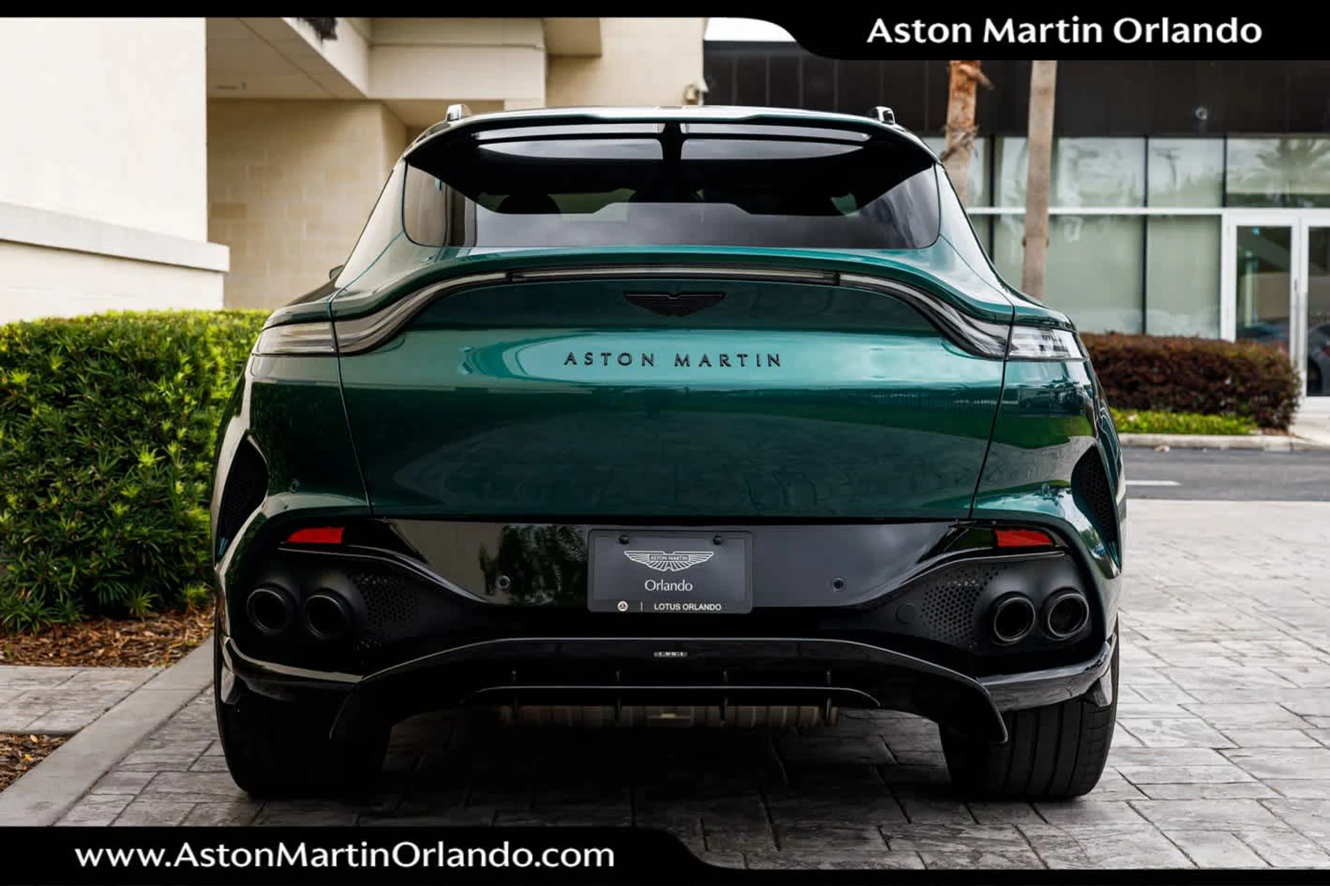 mph025_3625153829_26_5d3ae6dbaa