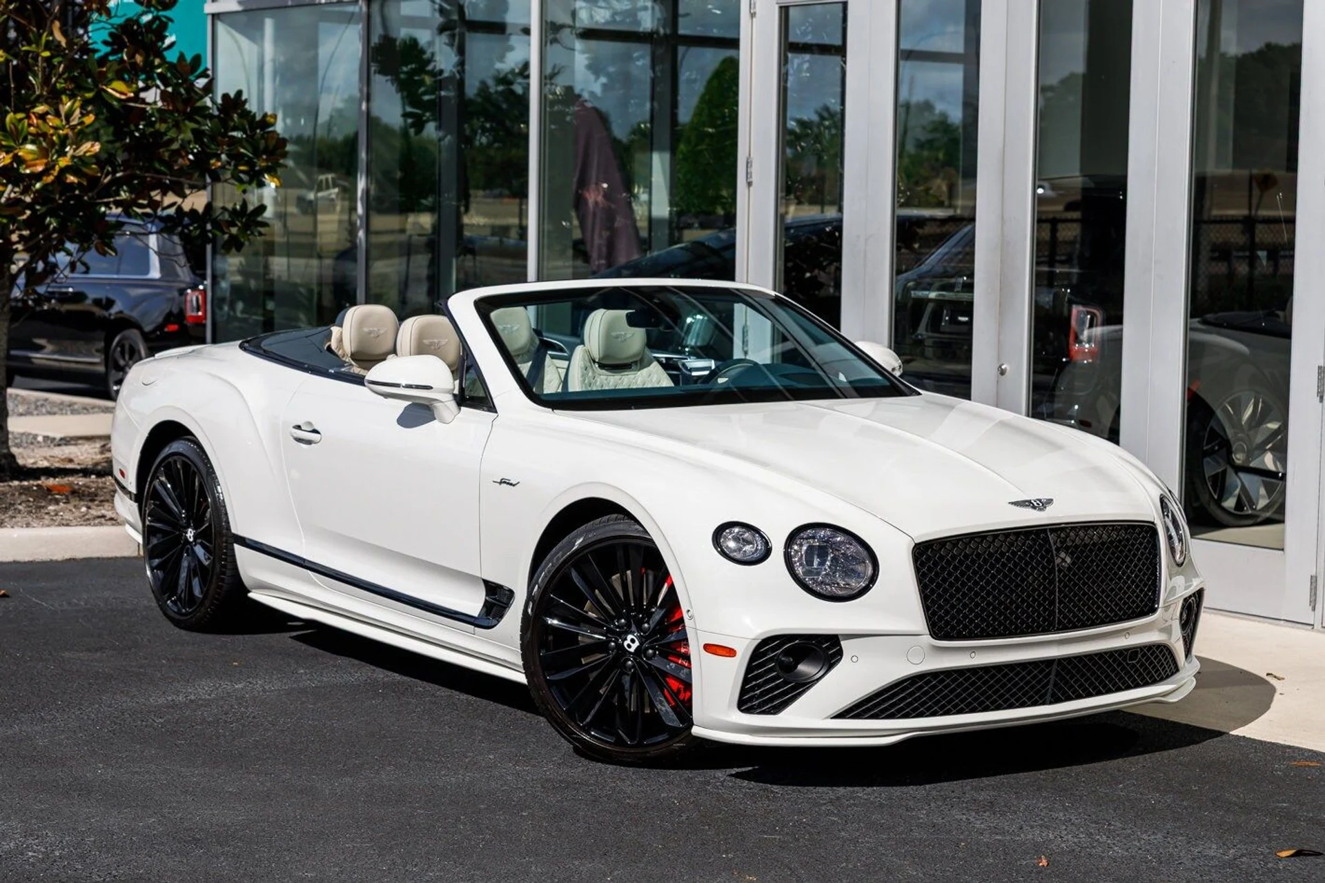 mph025_378282689_ff767f03c7db2b9ab23f3066b039f8dcx_29e71066c6