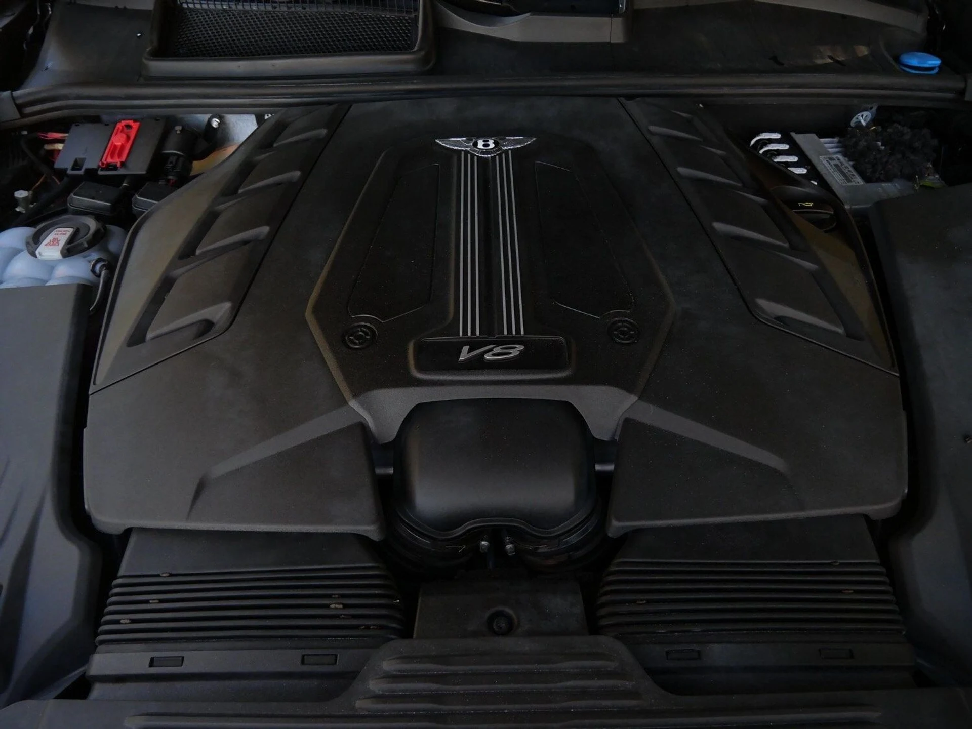 mph025_3876772727_924046c1bac7da0fc510277c7b5a74bdx_81fa4dd219