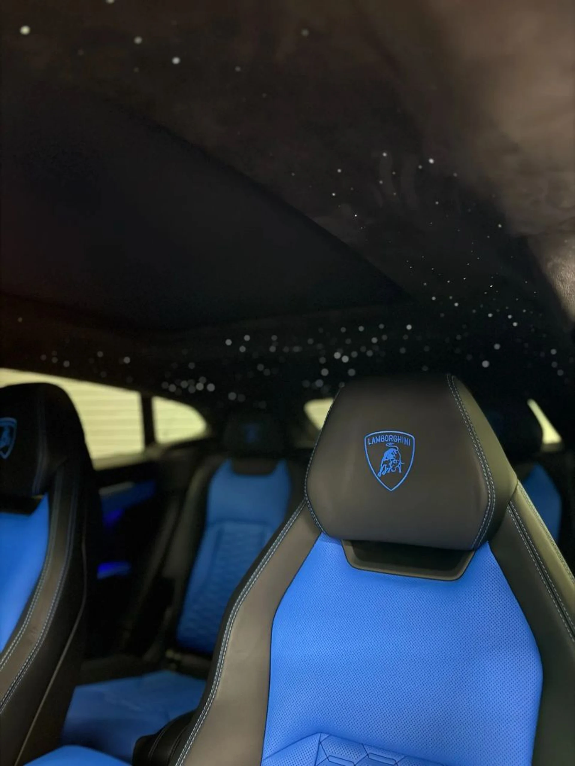 mph025_3973738120_202601_a000041171344922a8e9937ea0930b63_e0b710a726